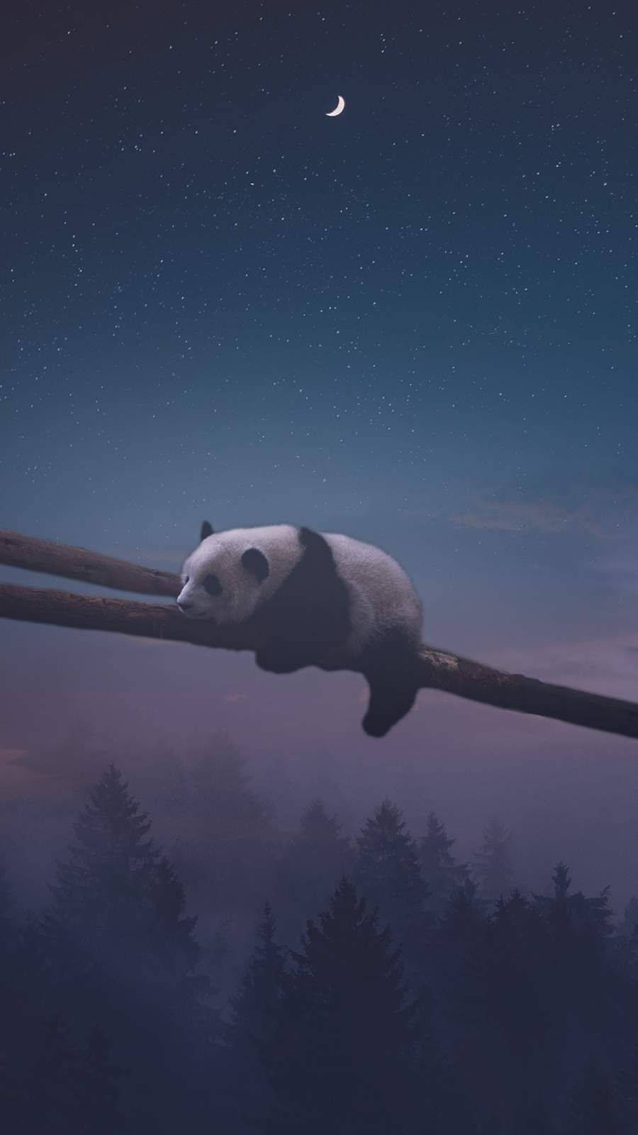 夜のパンダの眠り 壁紙
