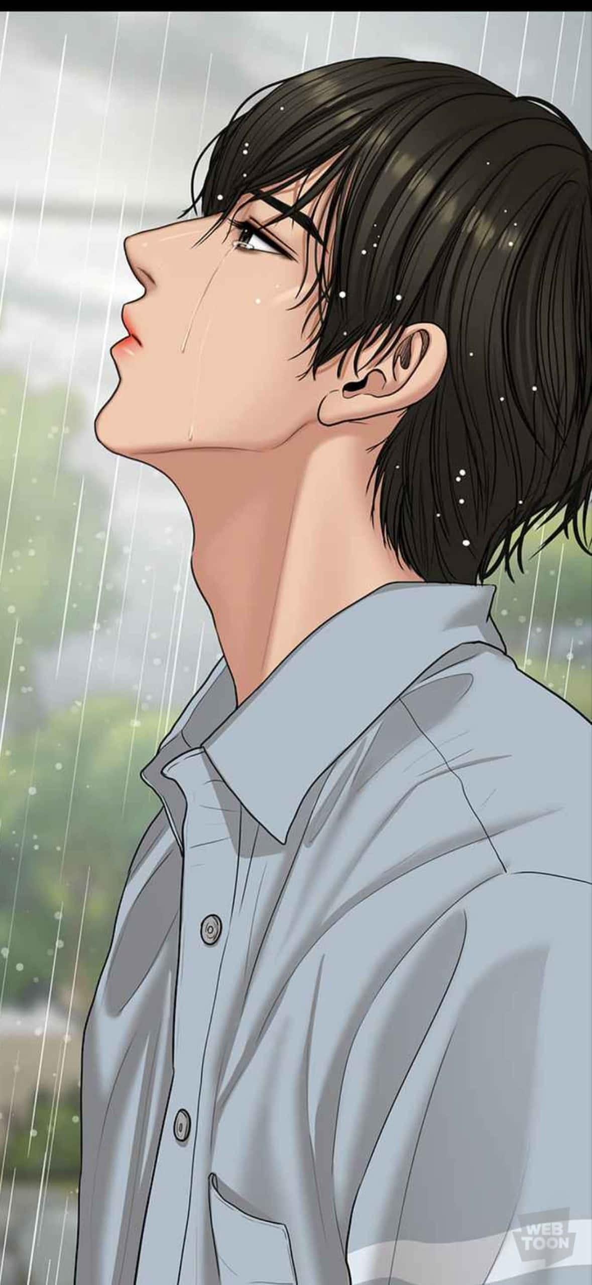 夜明けの綿畑 壁紙