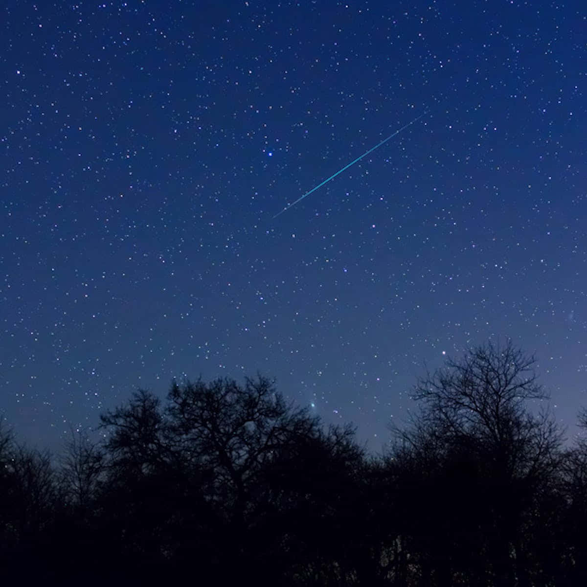 夜空に輝く星々の豊かさ 壁紙