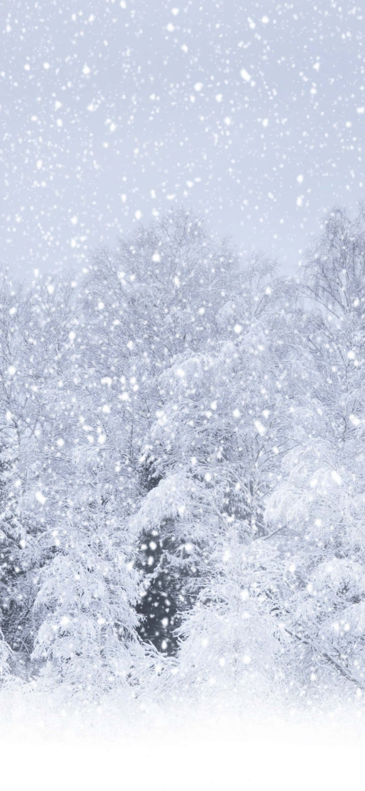 大雪が降る冬 iPhone XS Max 冬壁紙 壁紙