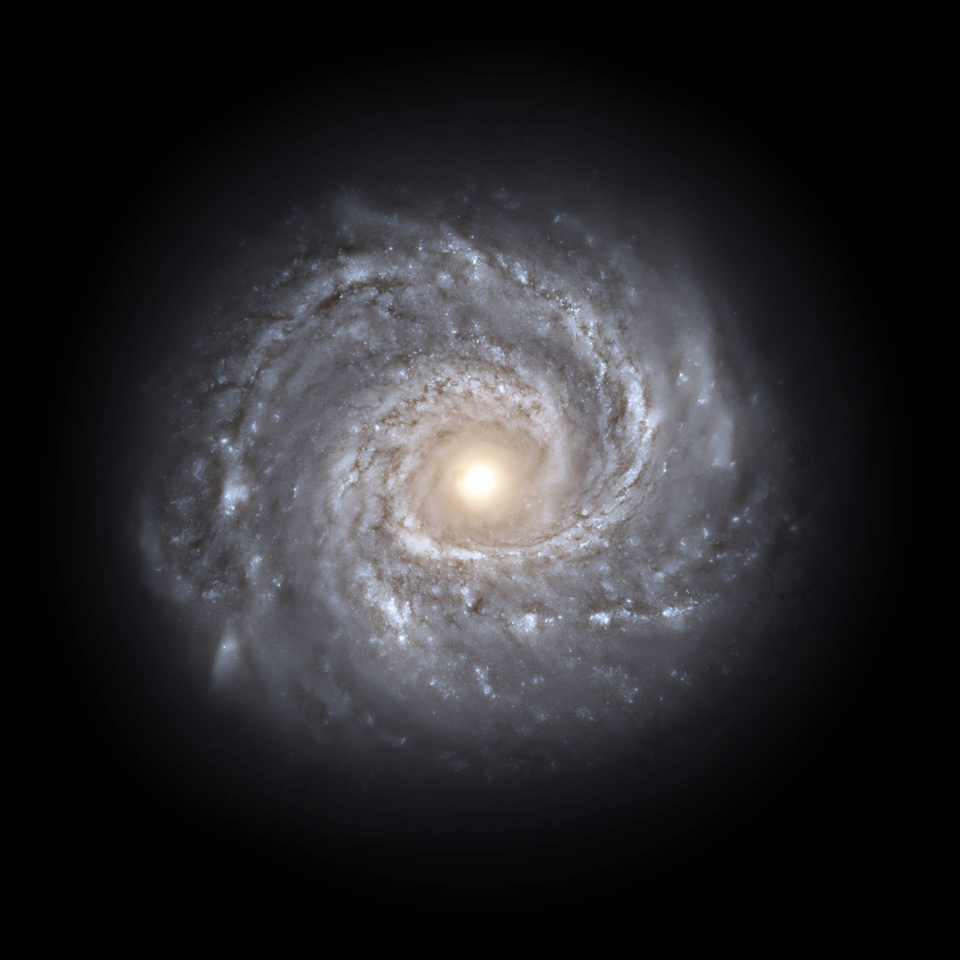 渦巻銀河、星々、天体の素晴らしい壁紙。