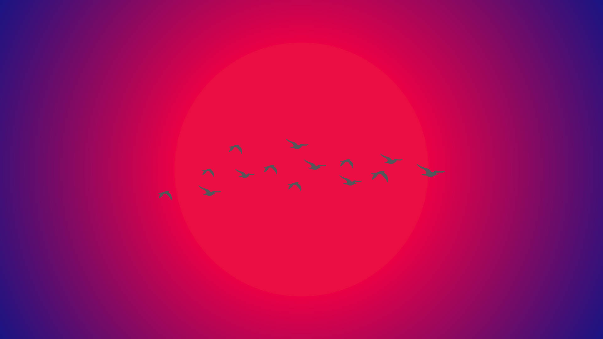 太陽に向かって飛ぶ鳥たちのミニマルな美しさのノートパソコン壁紙 壁紙
