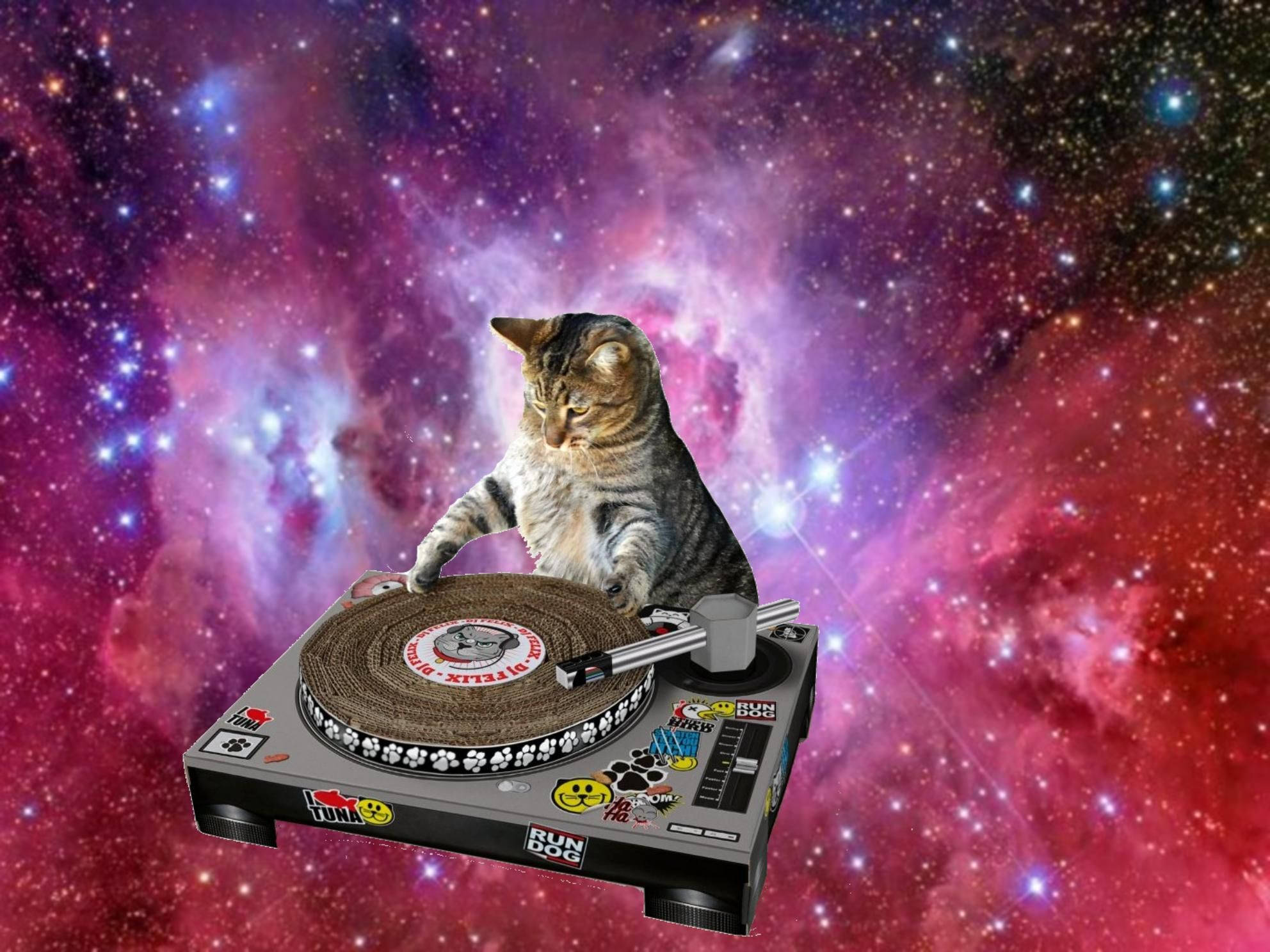 宇宙でDJをするおかしな猫 壁紙