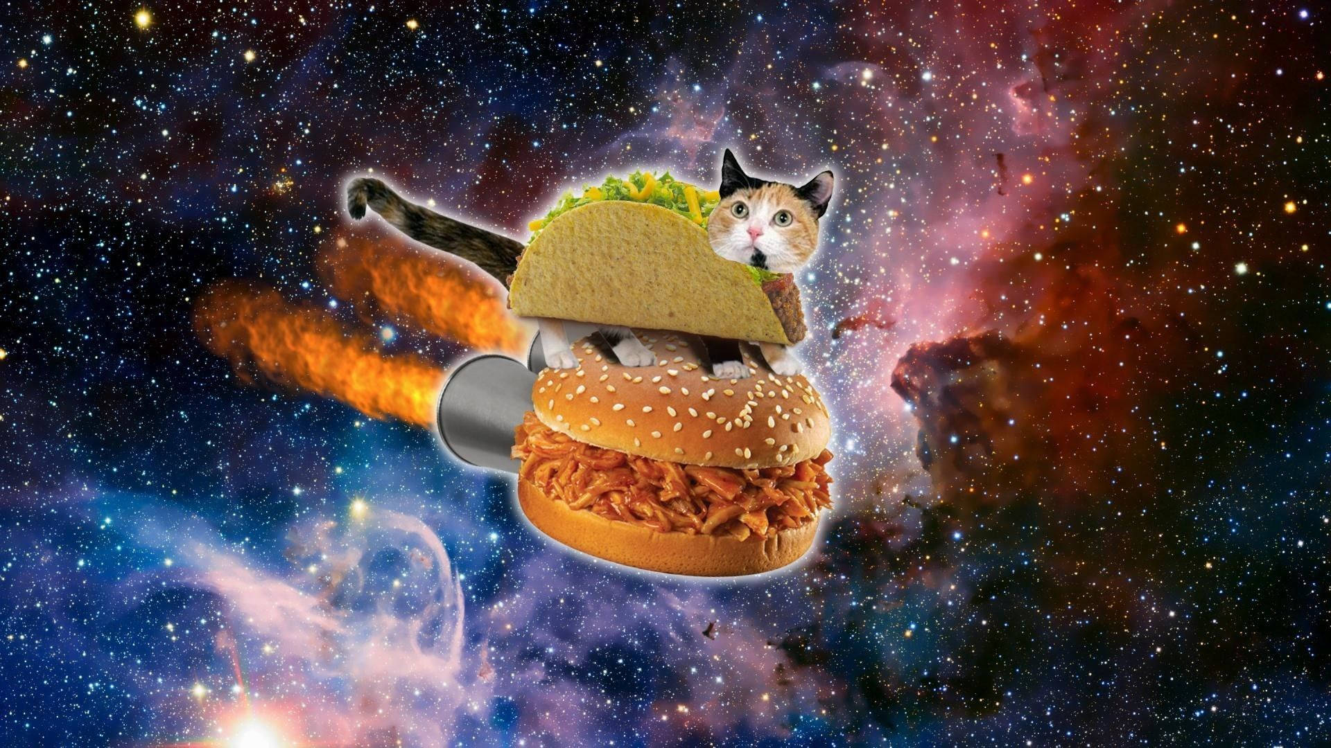 宇宙で浮かぶ面白い猫バーガー 壁紙