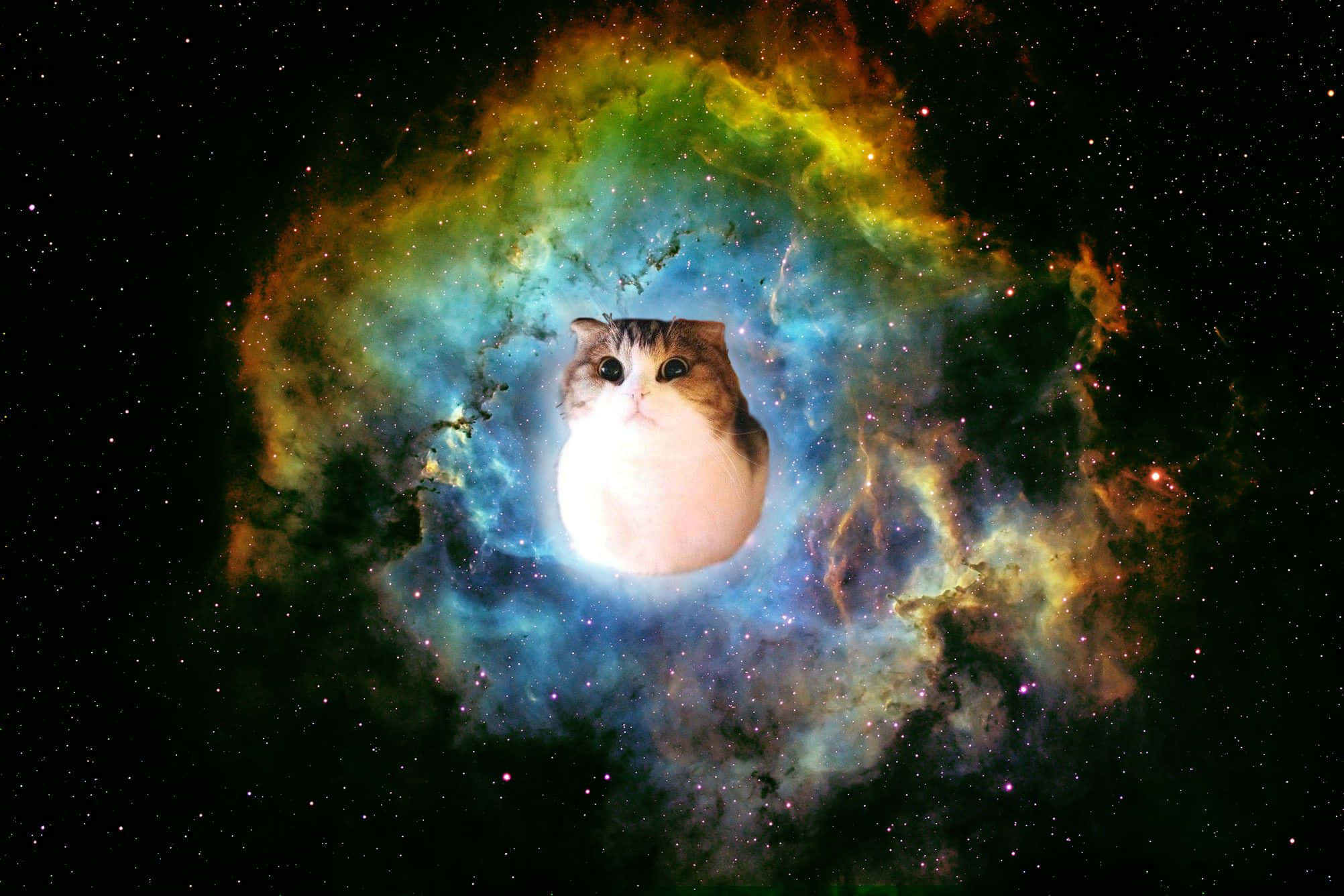 宇宙とその先への探求 壁紙