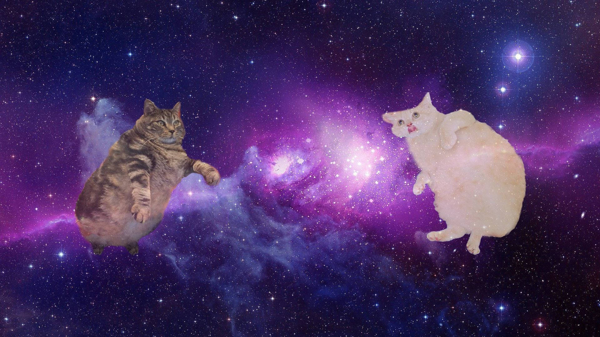 宇宙に浮かぶ猫のパソコン 壁紙