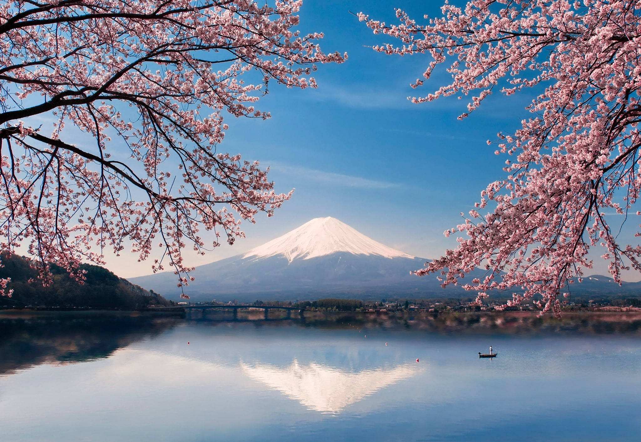 富士山と桜 日本 4K 壁紙