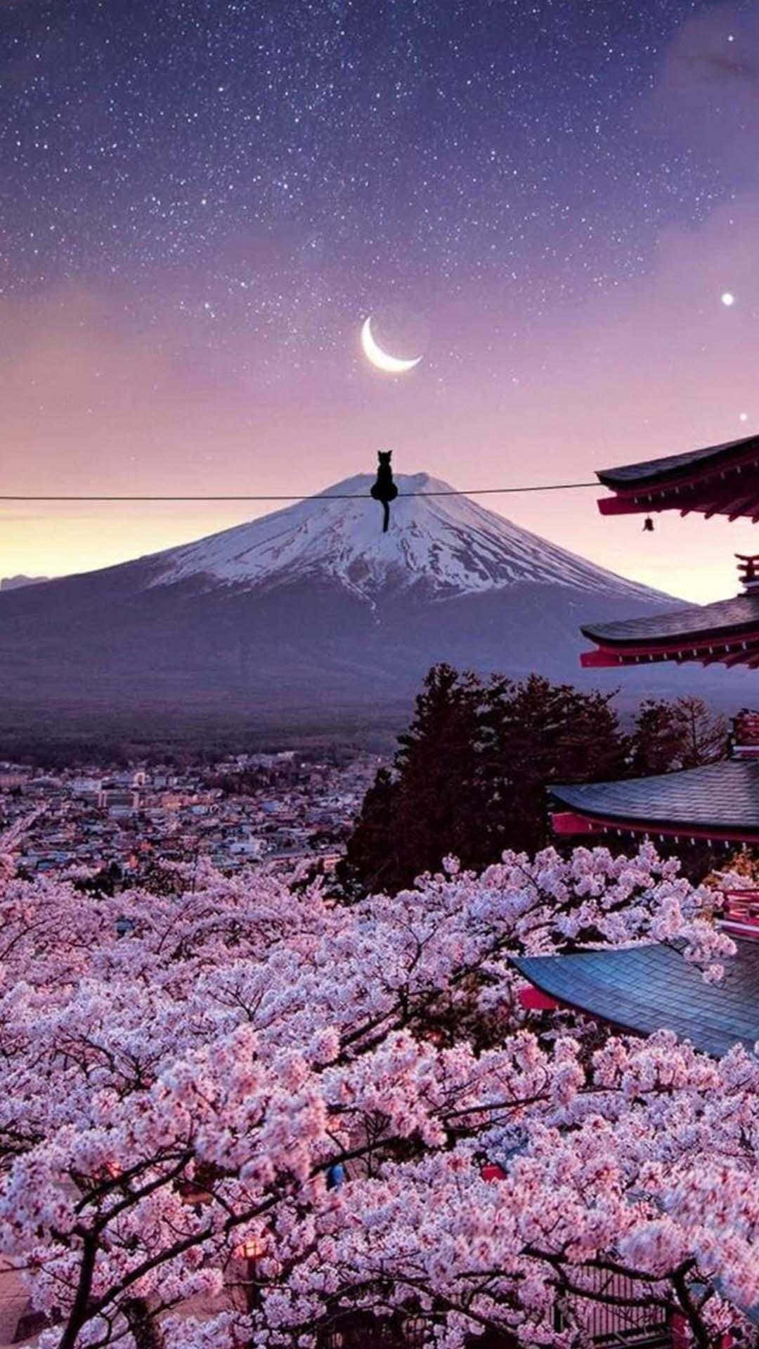 富士山と桜のiPhone壁紙 壁紙