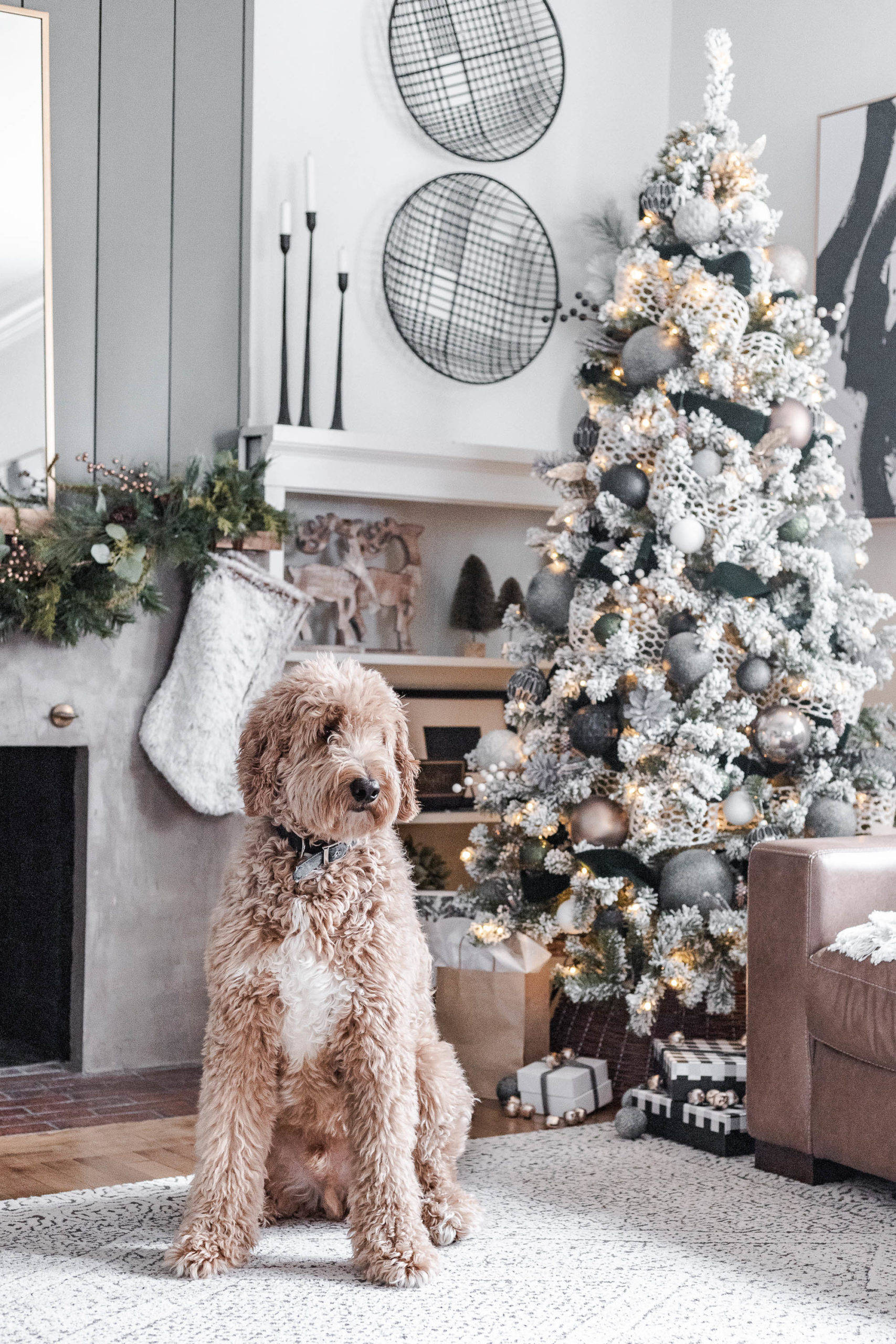 居心地の良いクリスマスの美学 かわいい犬 壁紙