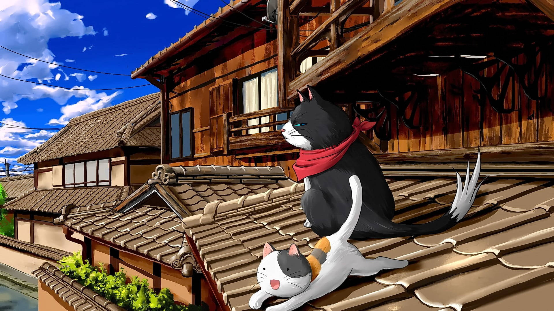 屋根の上の猫とパソコン 壁紙