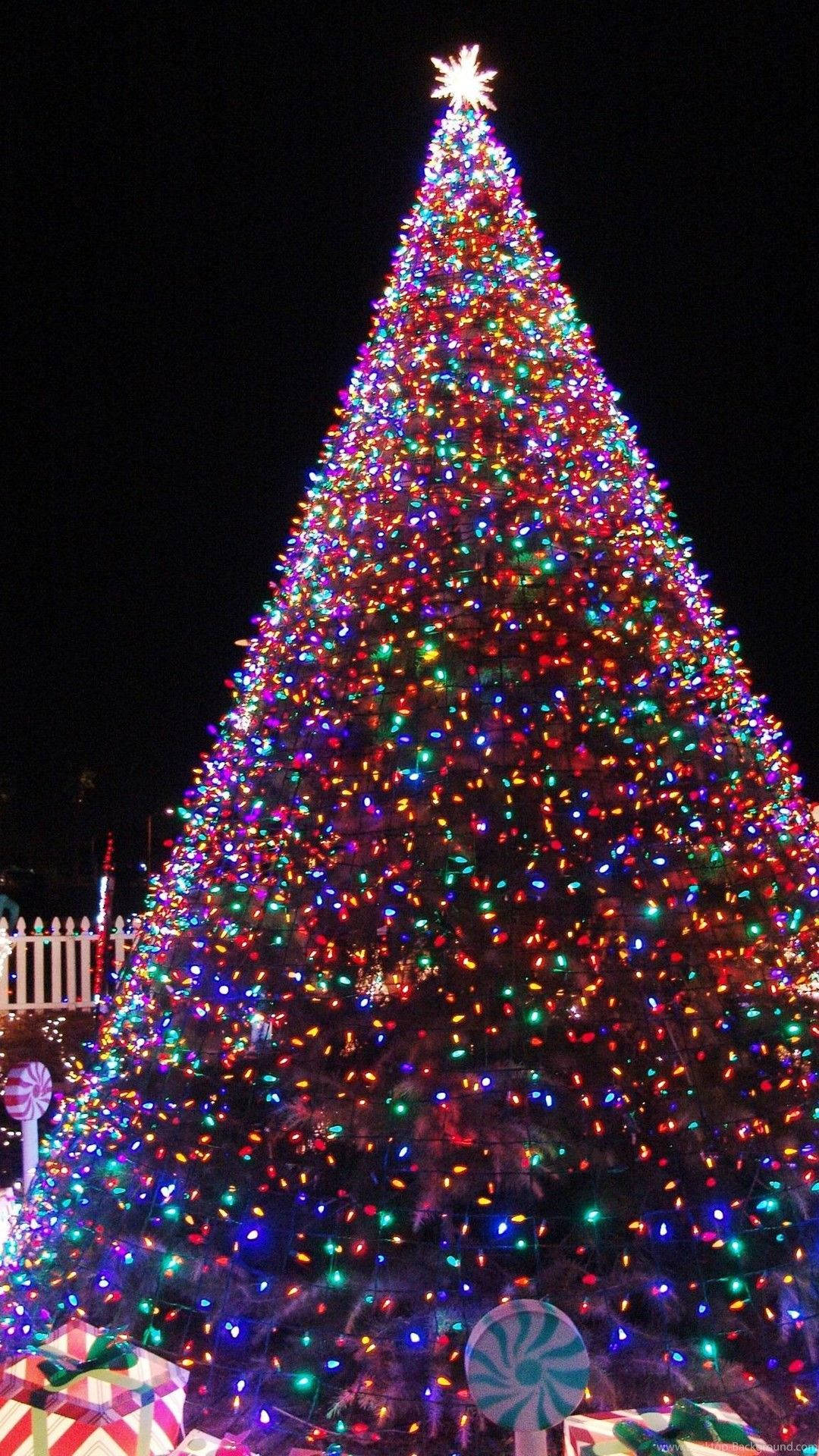 巨大でかわいい美しいクリスマスツリー 壁紙