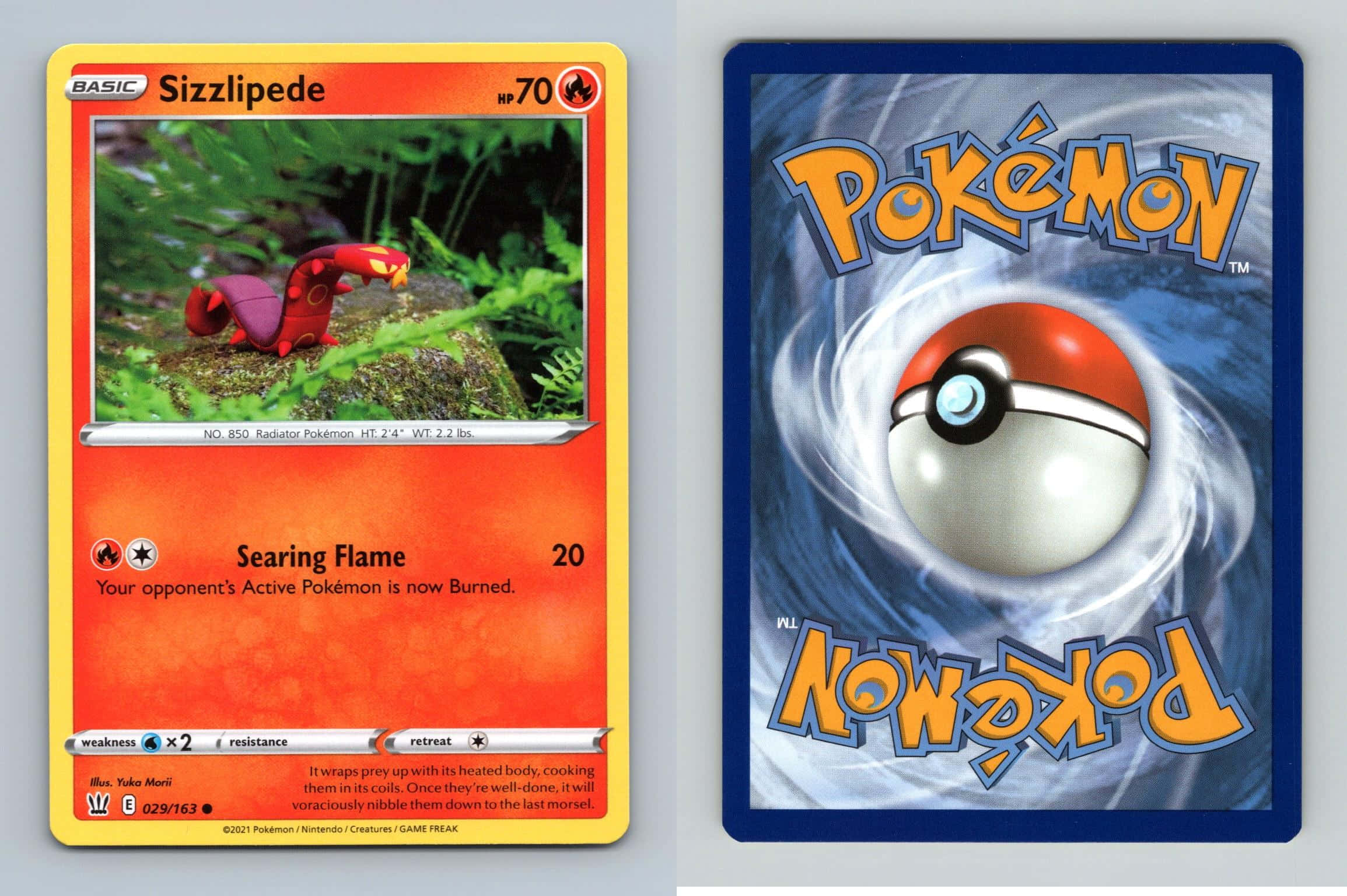 希少なシズリペーデ ポケモンカード 壁紙