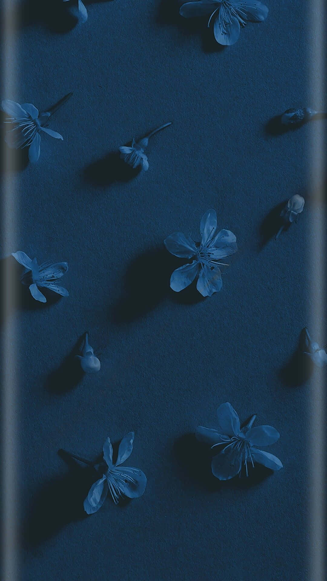 幻想的な夜空 壁紙