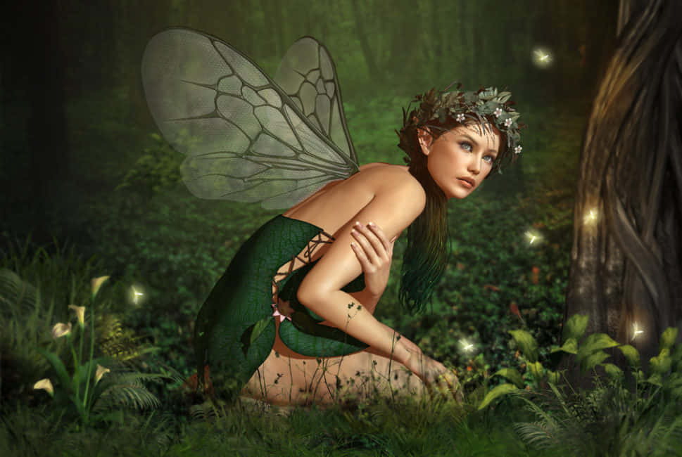幻想的な妖精の世界に足を踏み入れる、魅惑的なフェアリーエステティック壁紙 壁紙