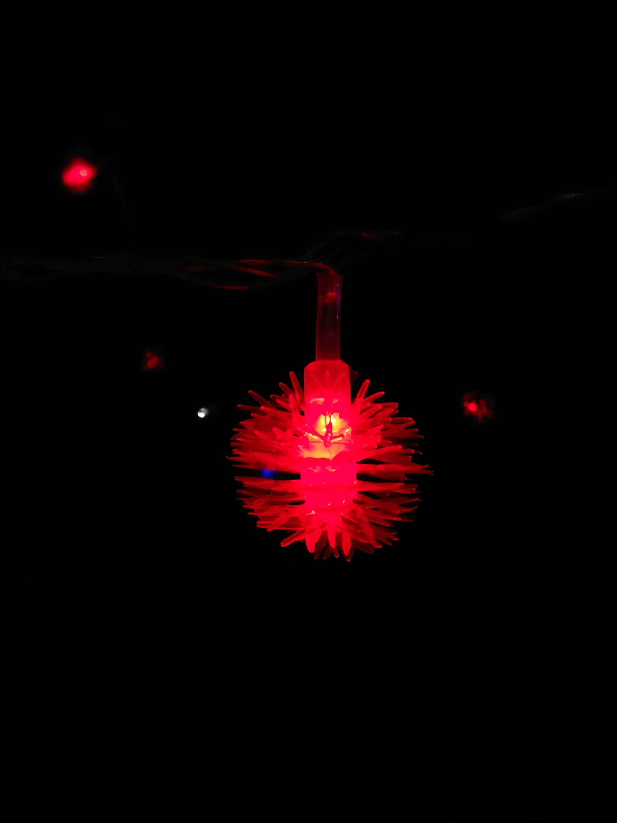 庭の綿花 壁紙