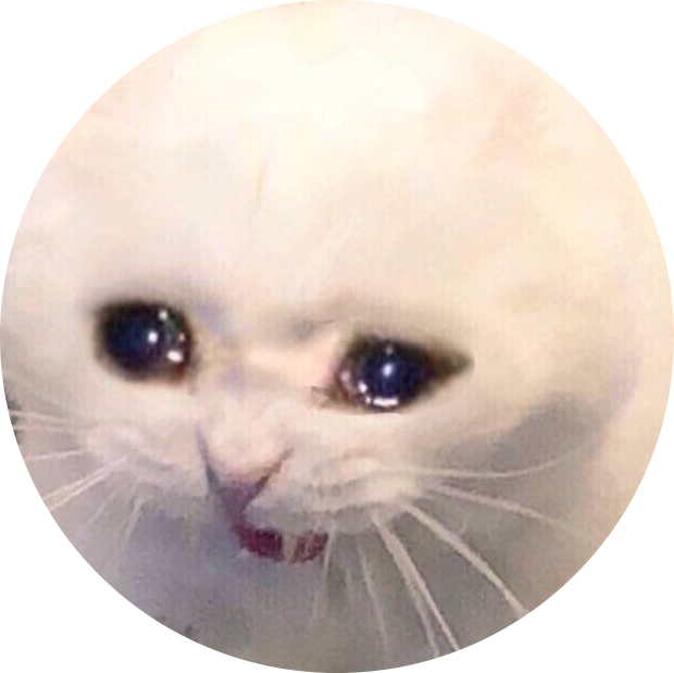 心配そうな猫ミームの円 壁紙