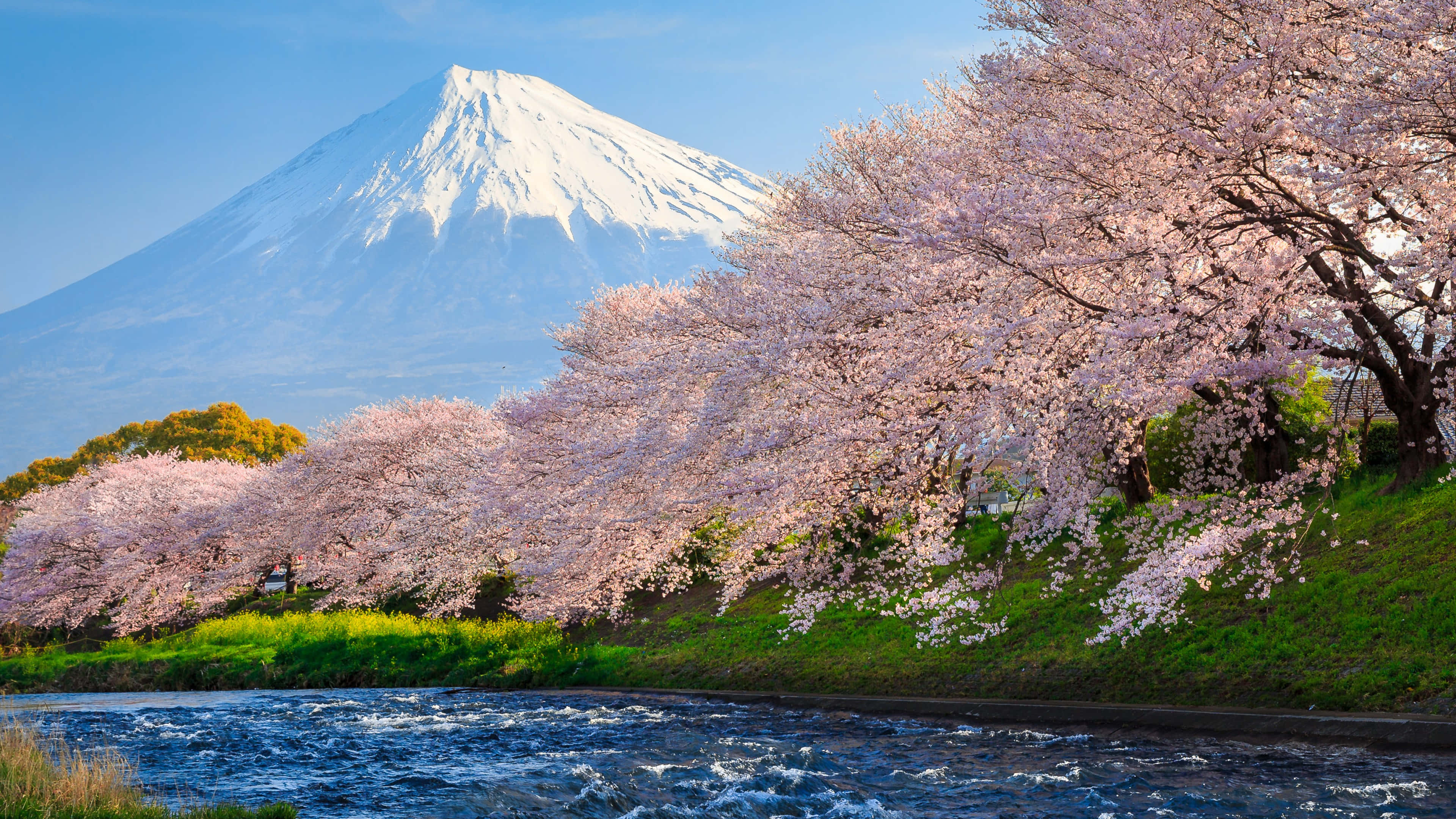 息をのむような日本の田舎の伝統的な家屋と緑の風景 壁紙