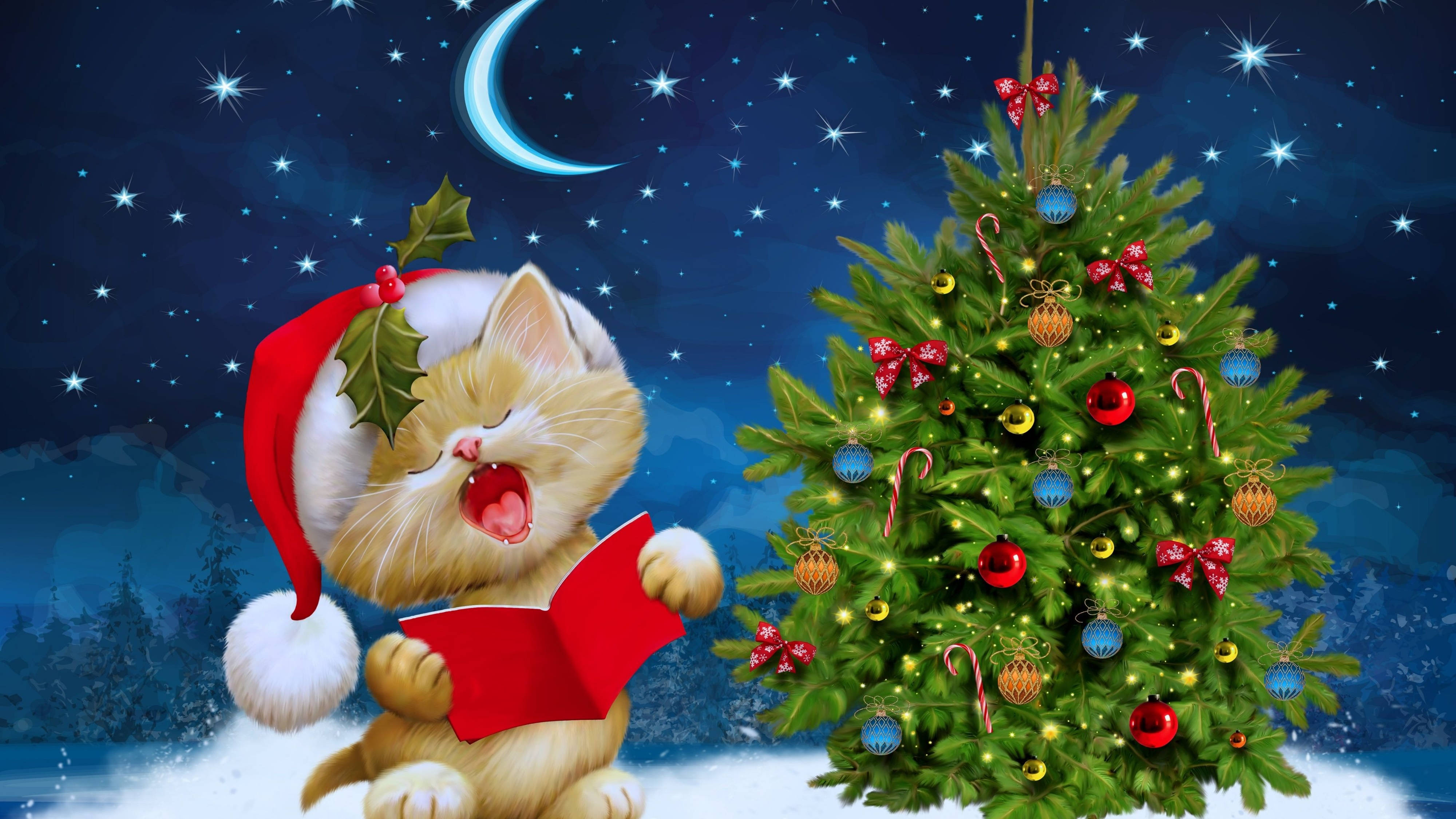 愛らしい子猫がサンタ帽をかぶったクリスマス4K Ultra HD 壁紙