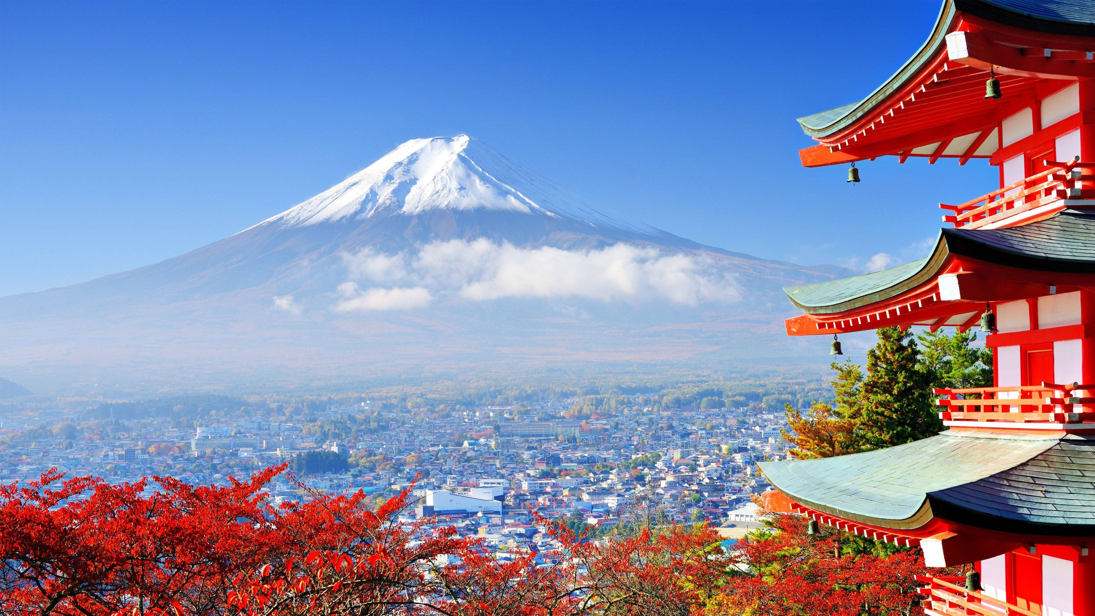 旅4K日本富士 壁紙