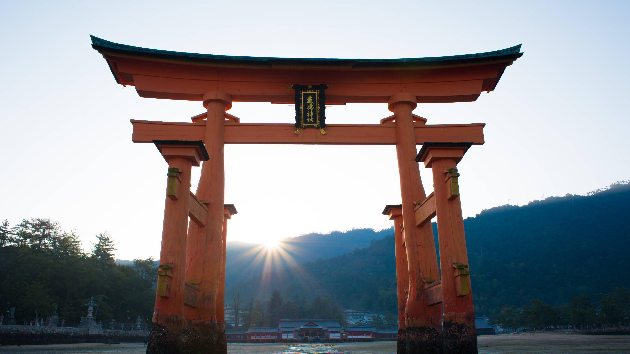 日本 鳥居 夕日 壁紙