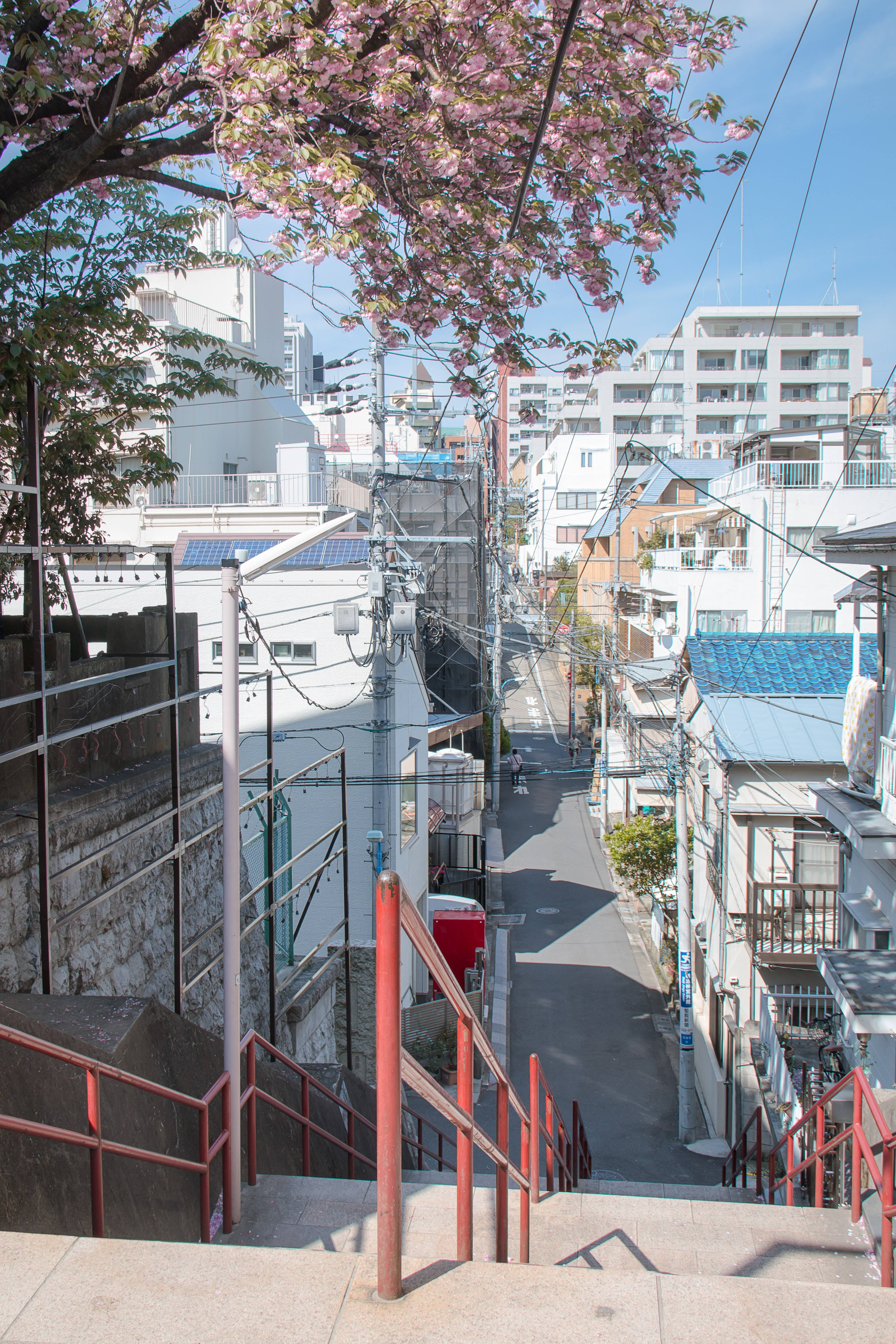 日本HD 須賀神社の階段 壁紙