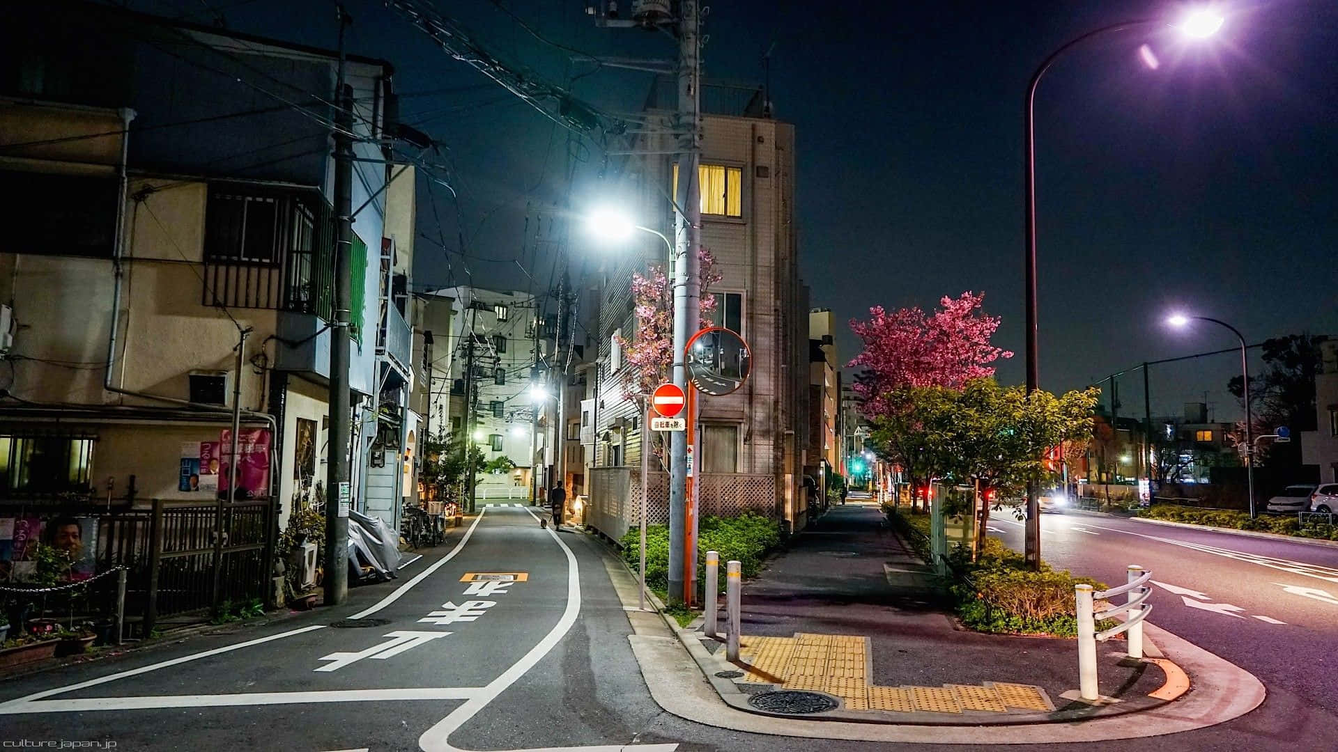 日本の道路にある街灯 壁紙