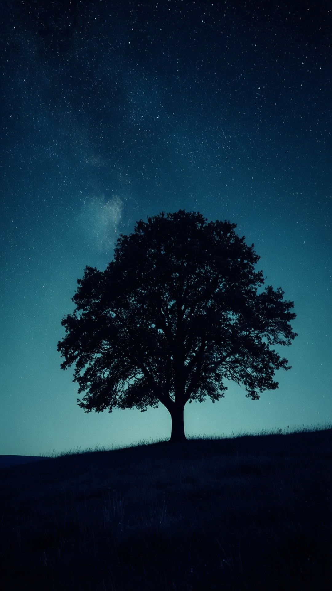 星空の下の一本の木 壁紙