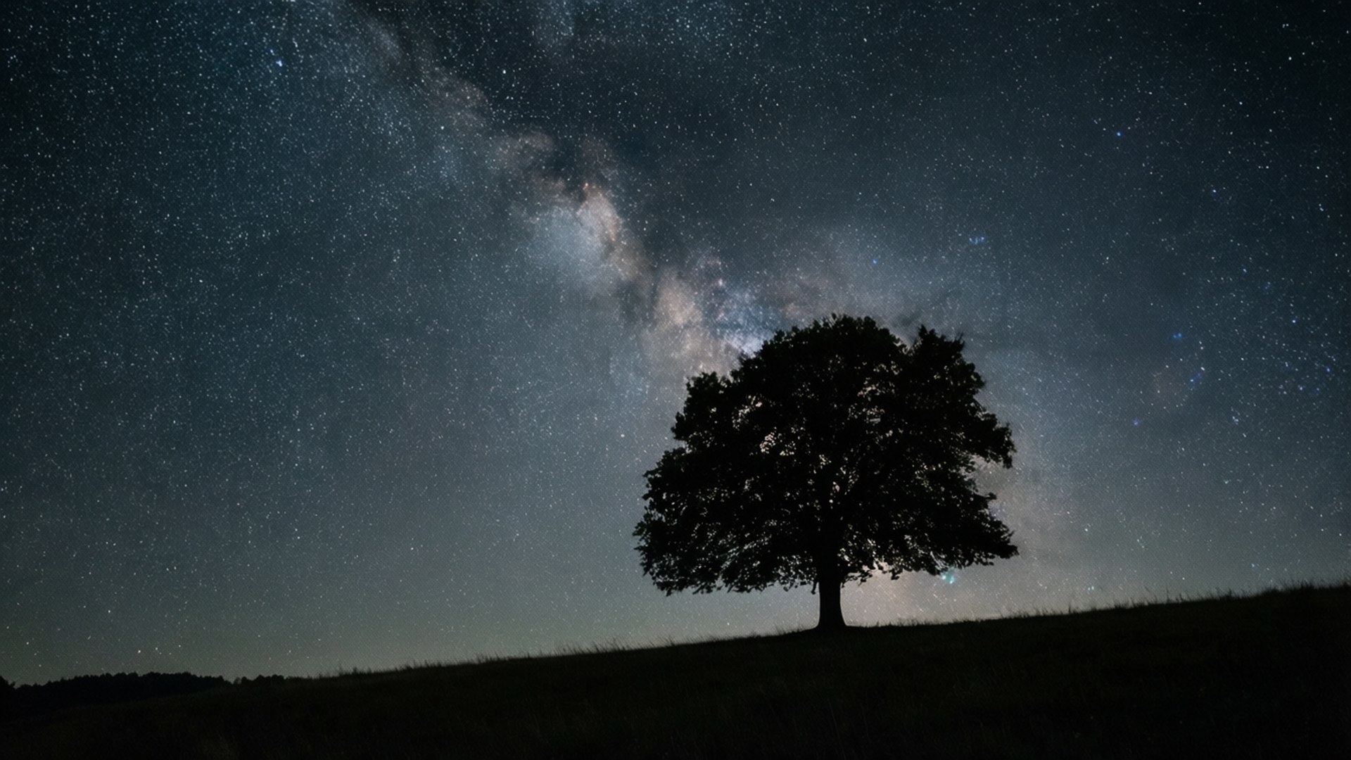 星空の下の一本木 壁紙