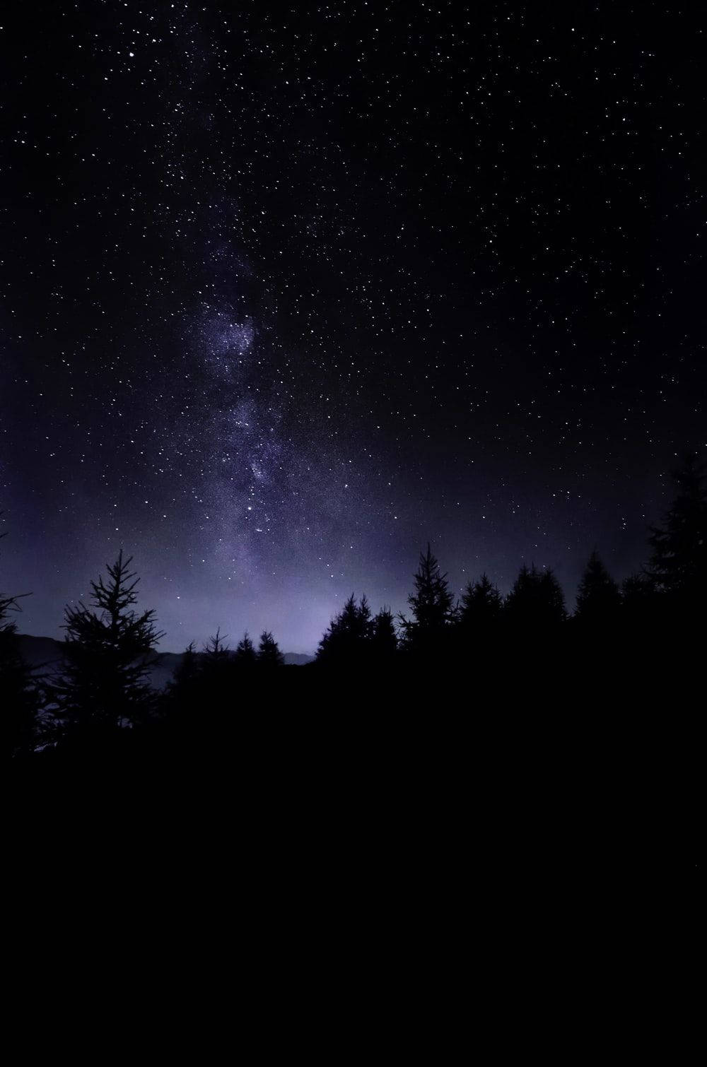 星空の下の自然な暗い森 壁紙