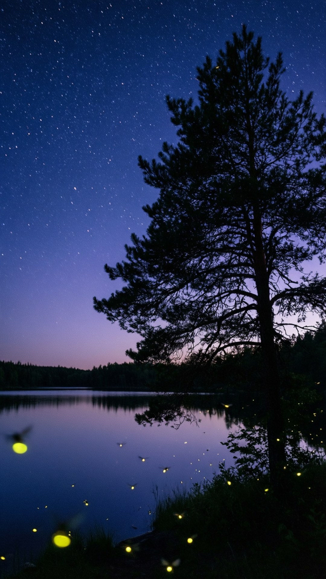 星空の夏の夜 壁紙