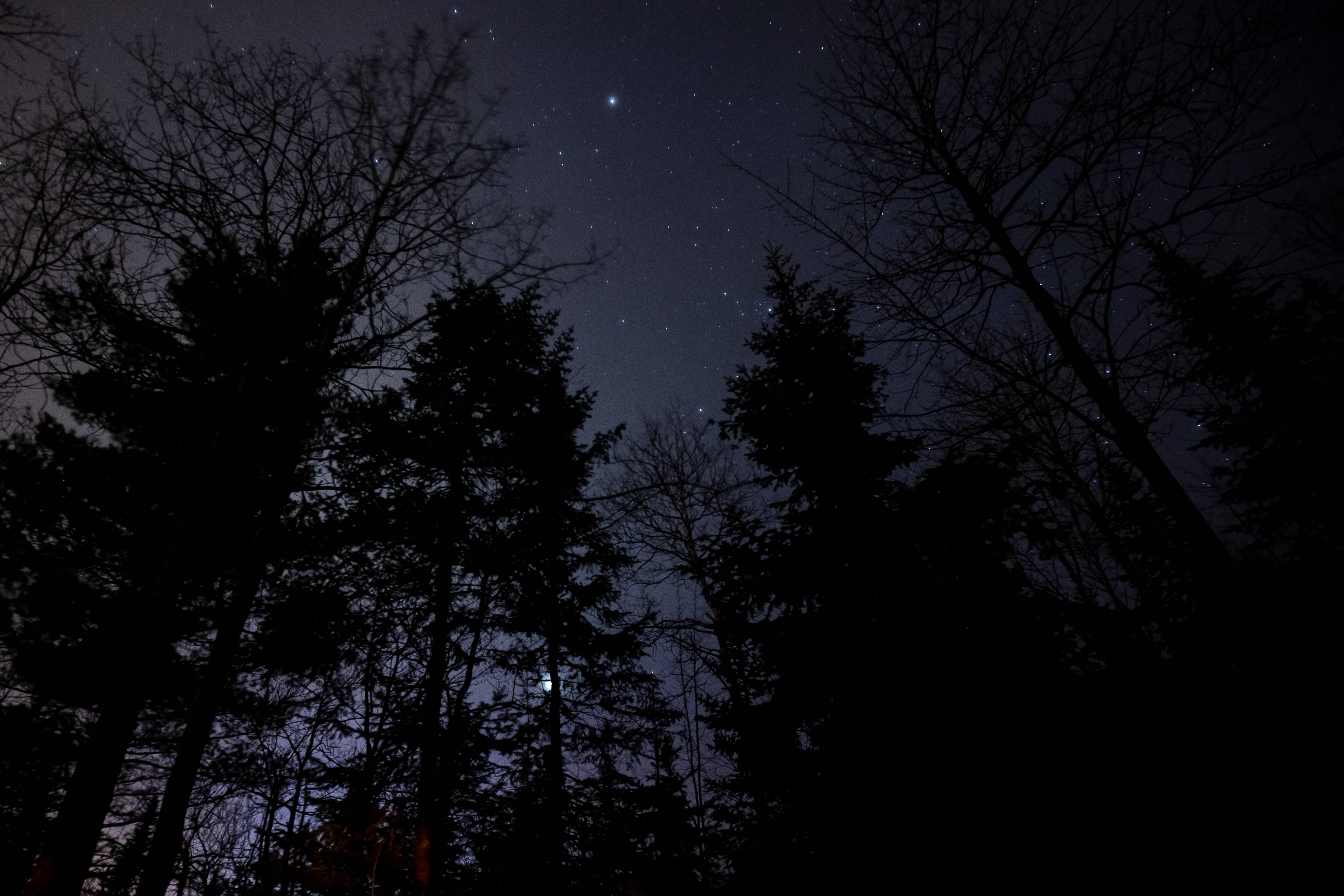 星空の夜 壁紙