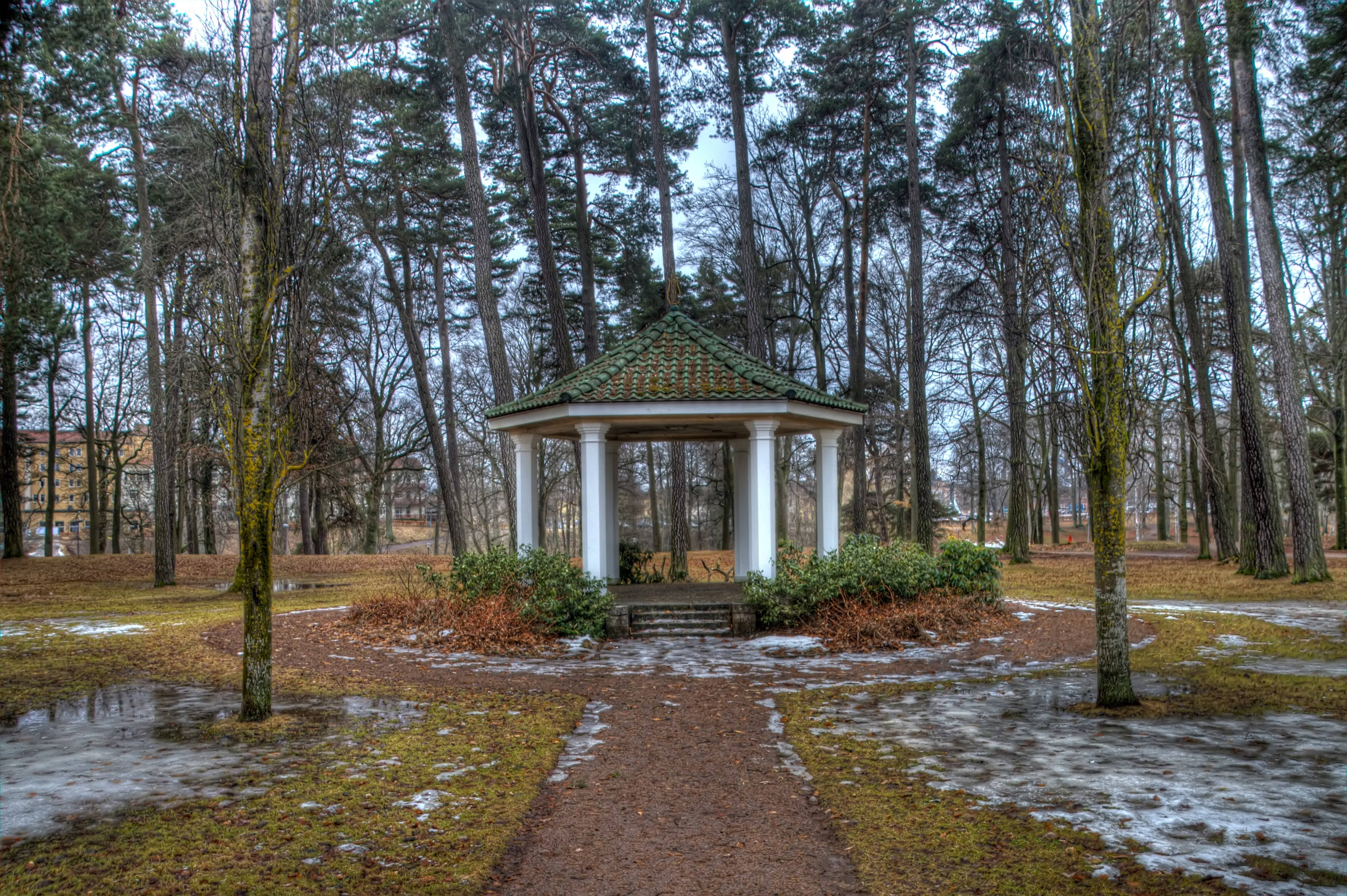 春の公園 壁紙