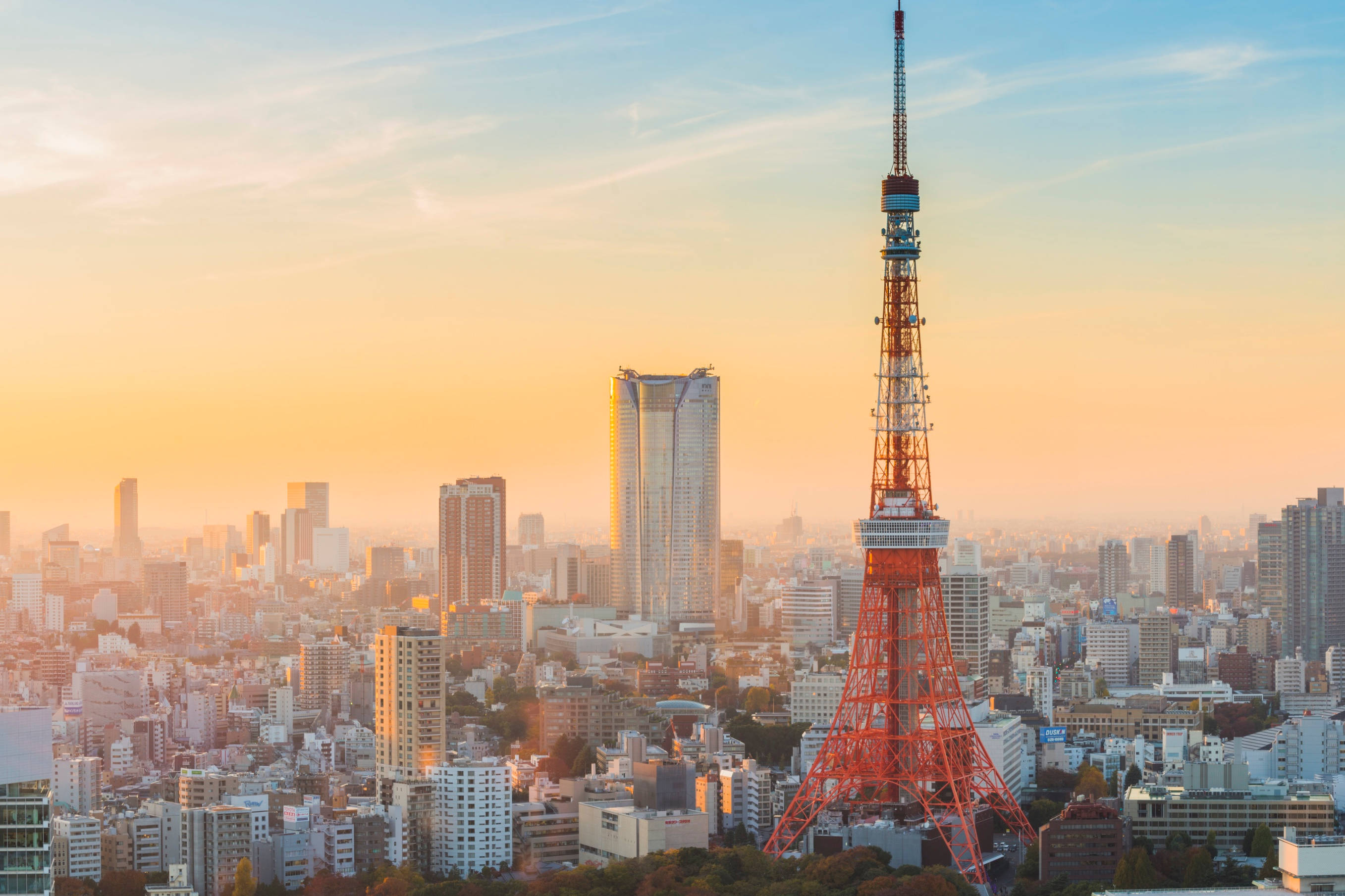 昼間の東京タワー 壁紙