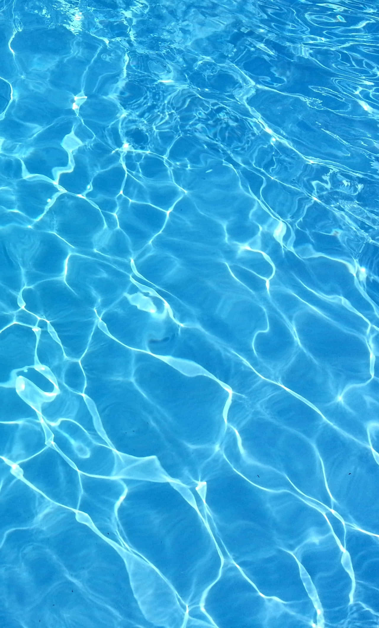 晴れた日にきらめく青いプールの水 壁紙