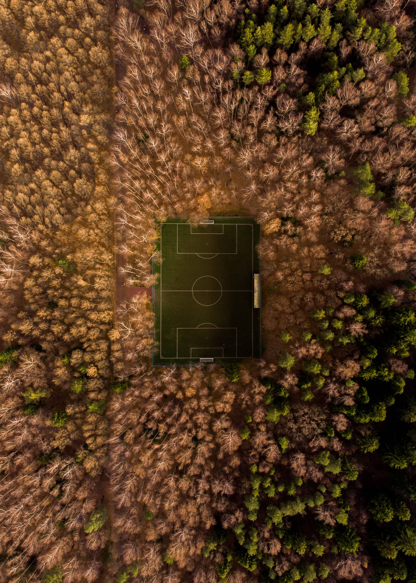 木々に囲まれたサッカーフィールドの航空写真壁紙。