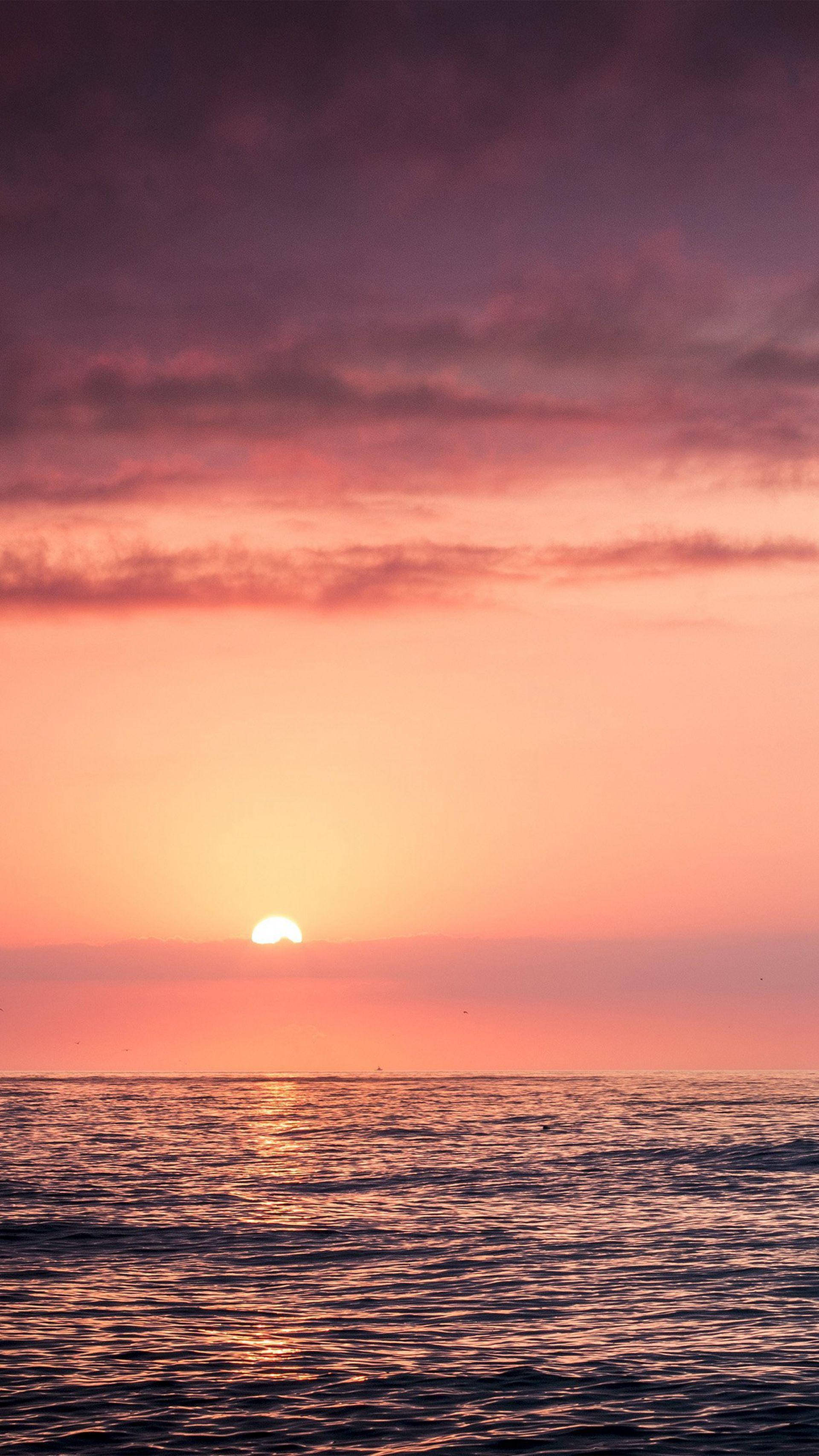 曇り空のピンク色の夕日と海 壁紙