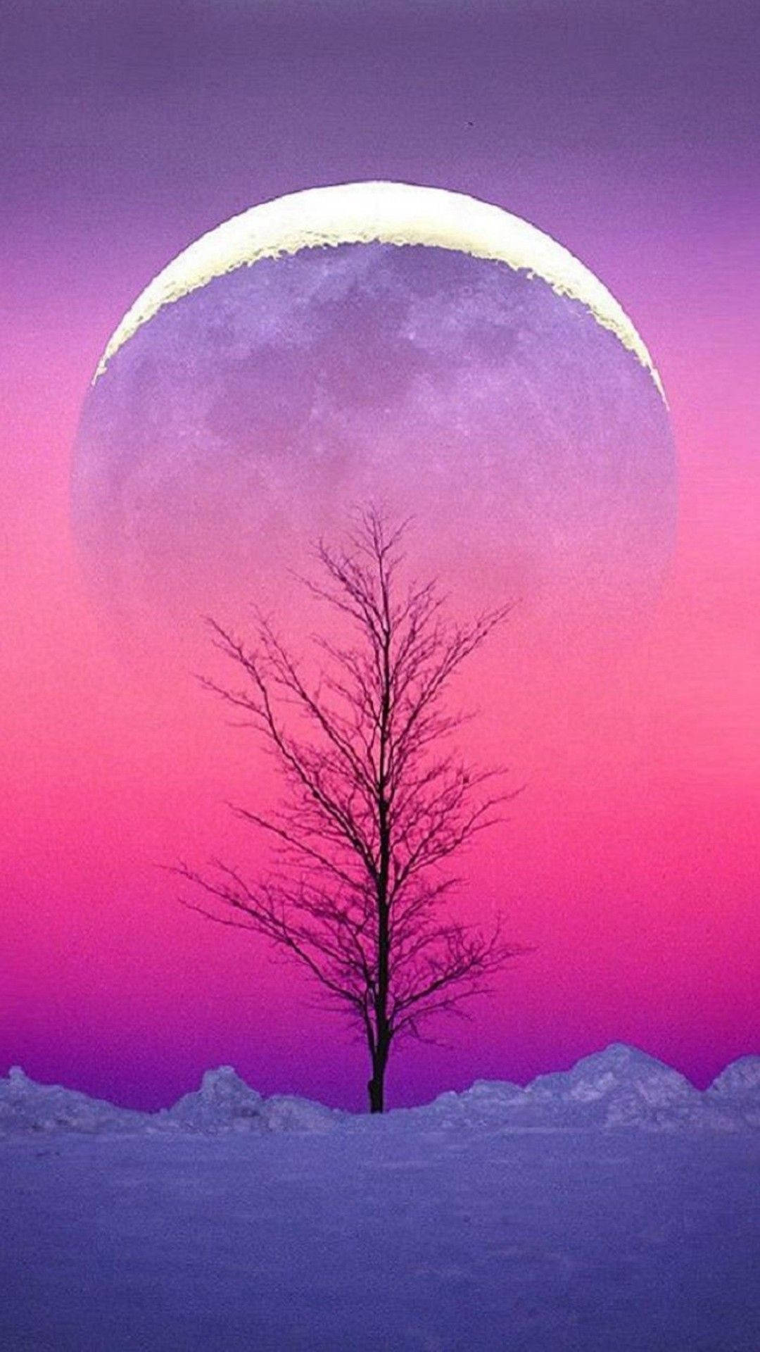 月夜の空 壁紙