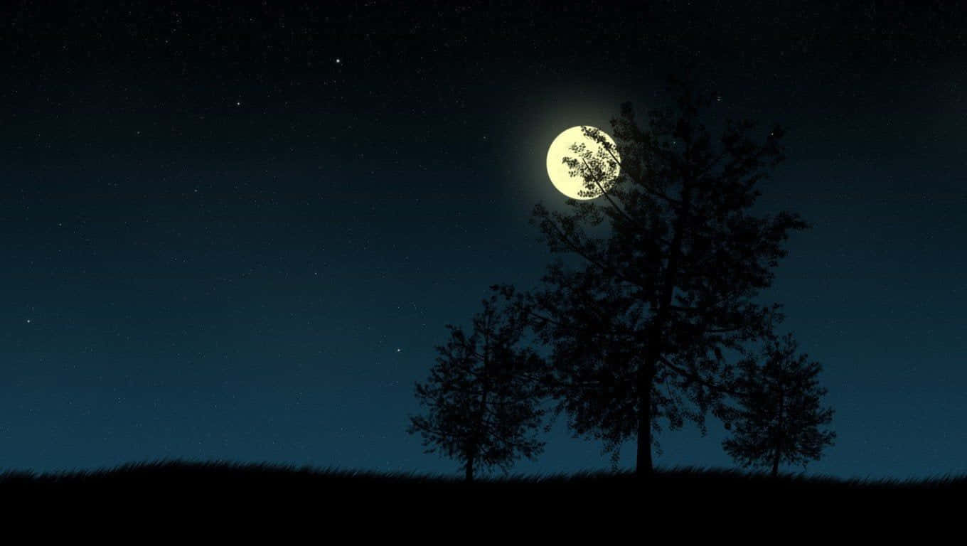 木々と月のある夜空 壁紙