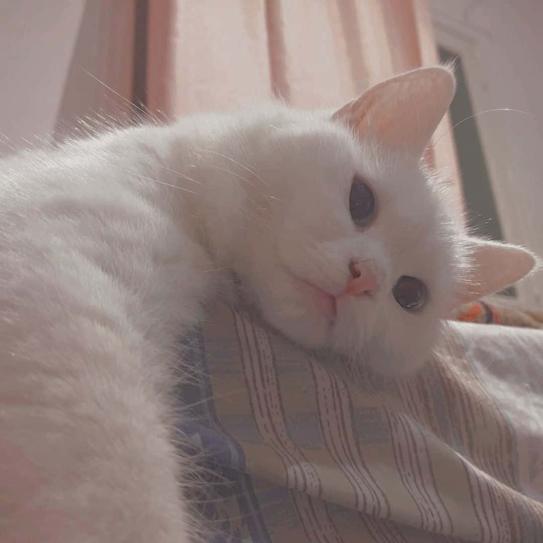 未知へのまなざし 壁紙