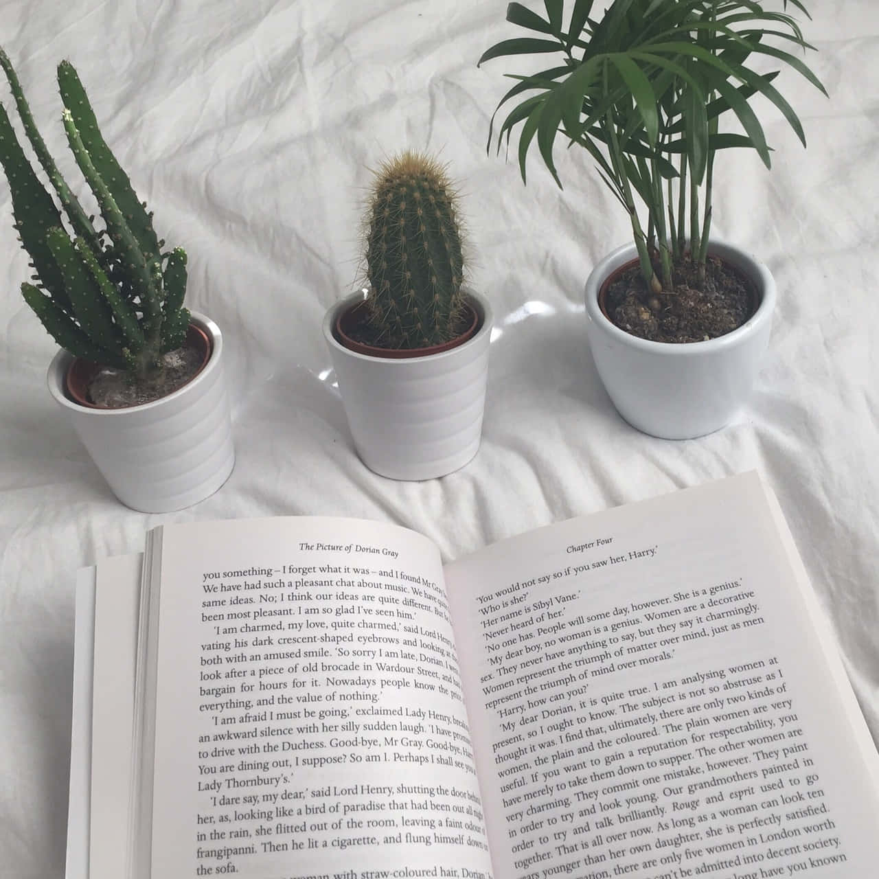 本の世界を探検しよう！📖 壁紙