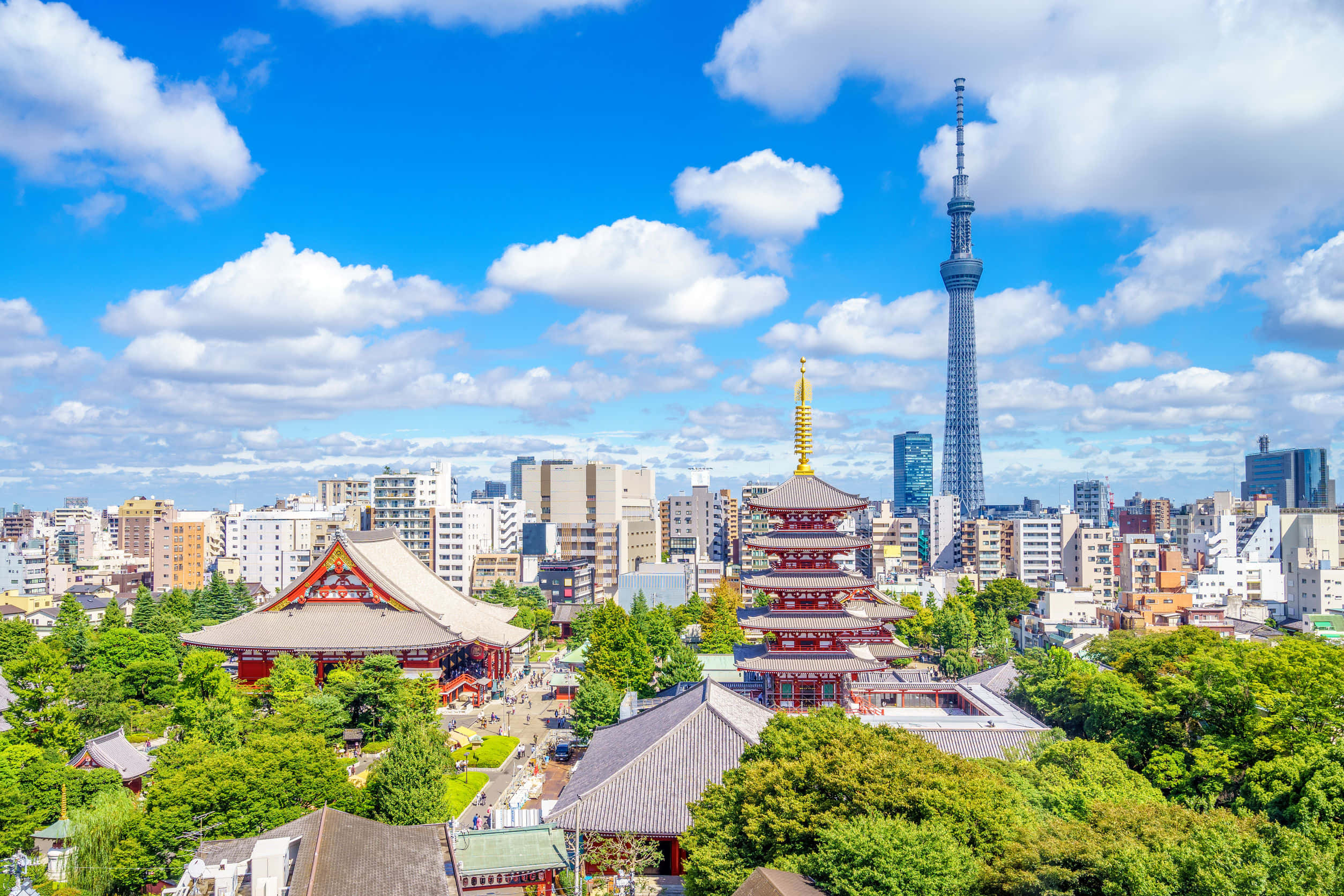 東京のスカイライン、日本の活気ある首都 壁紙