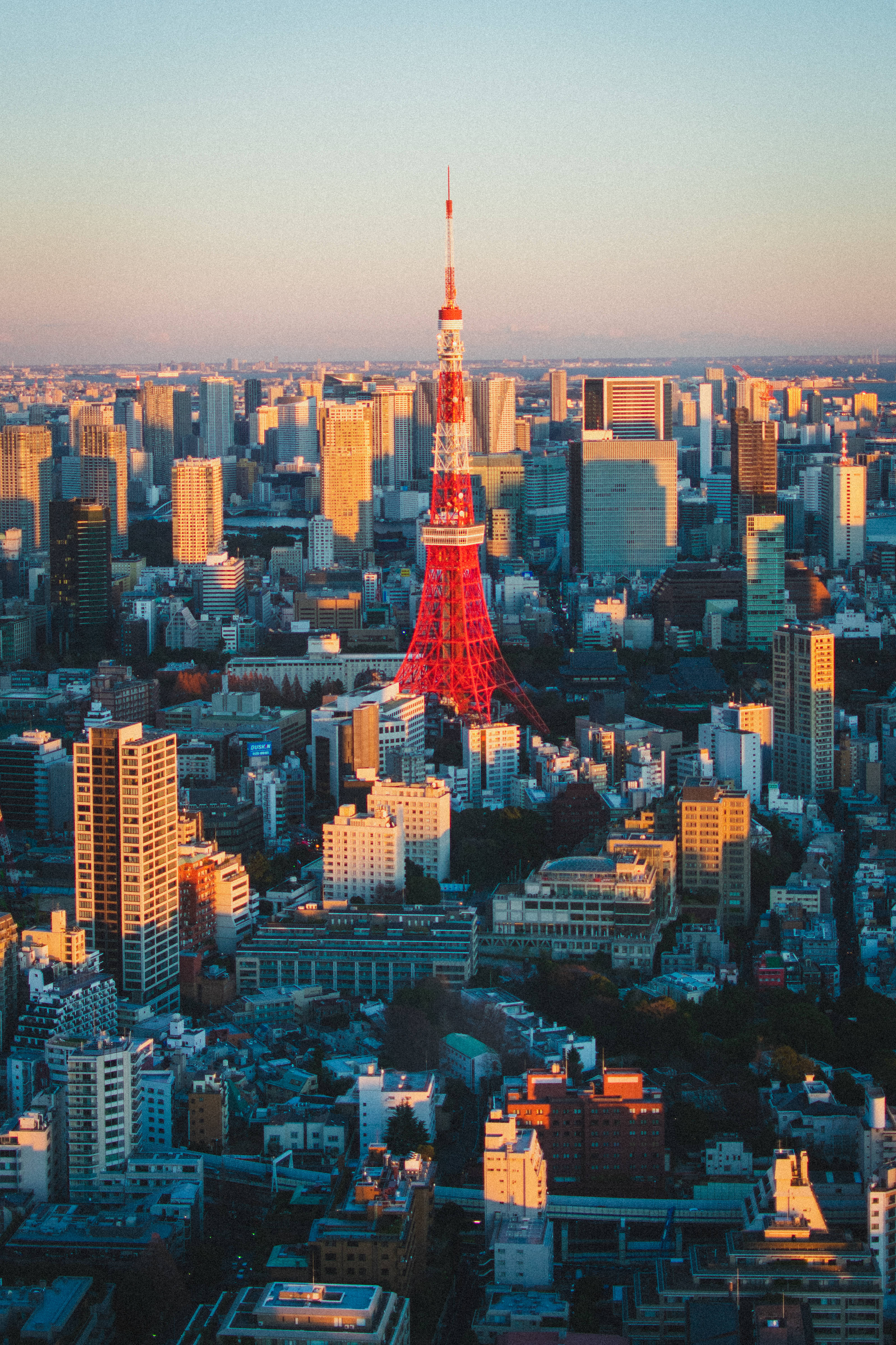 東京の街並みと赤い東京タワー 壁紙