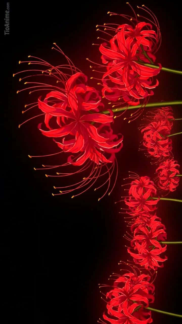 東京喰種 花