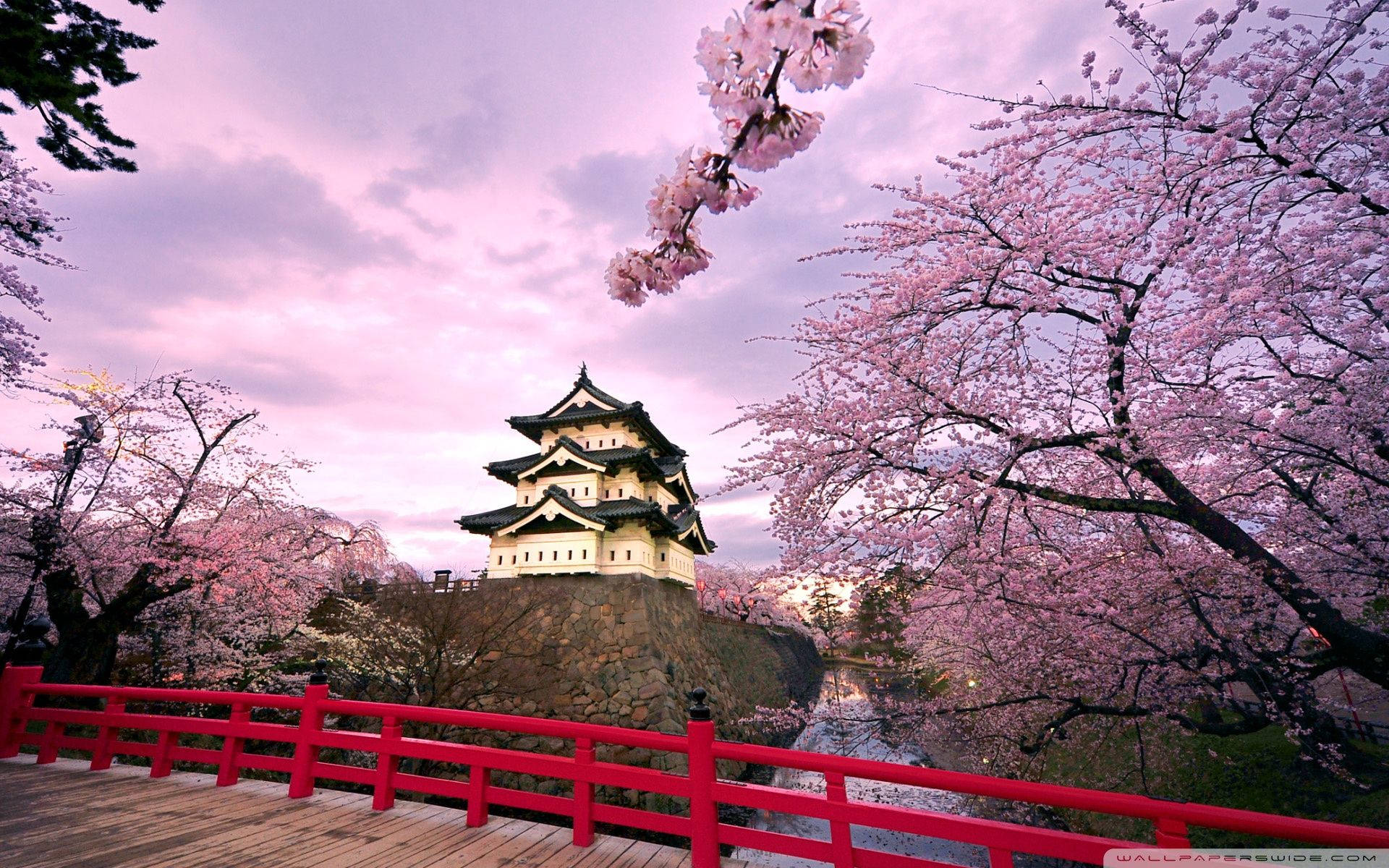 桜と日本城の壁紙