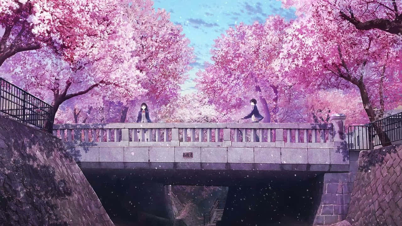 桜のアニメ風景 橋の上に立つ少女 壁紙