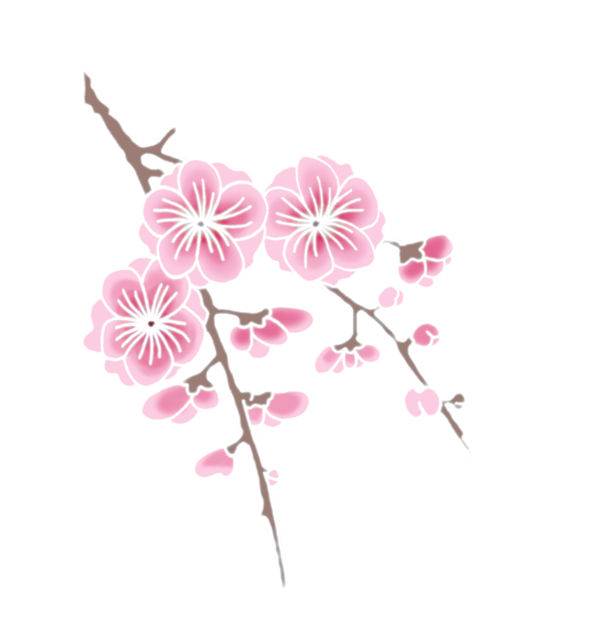 桜の枝 壁紙