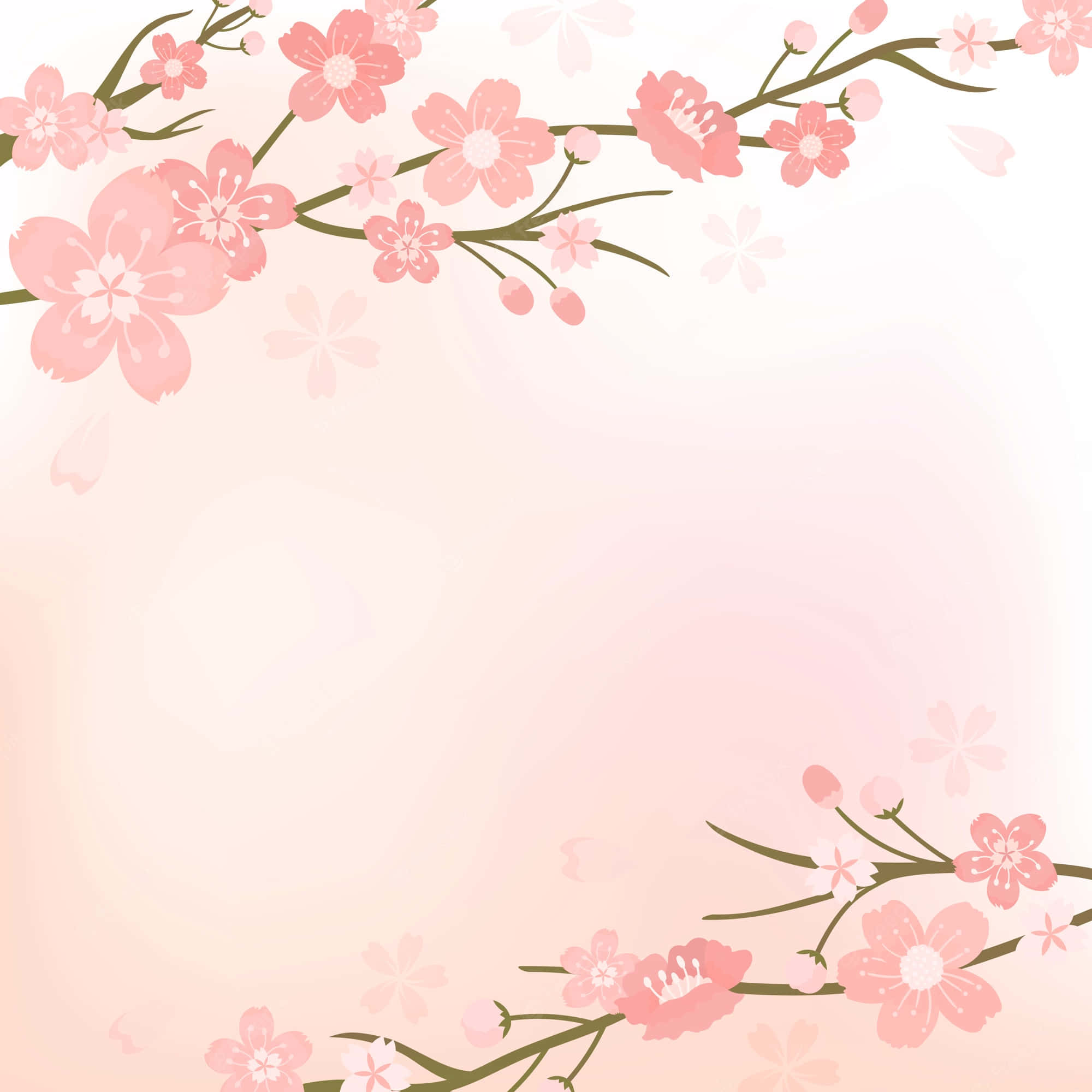 桜の背景 壁紙