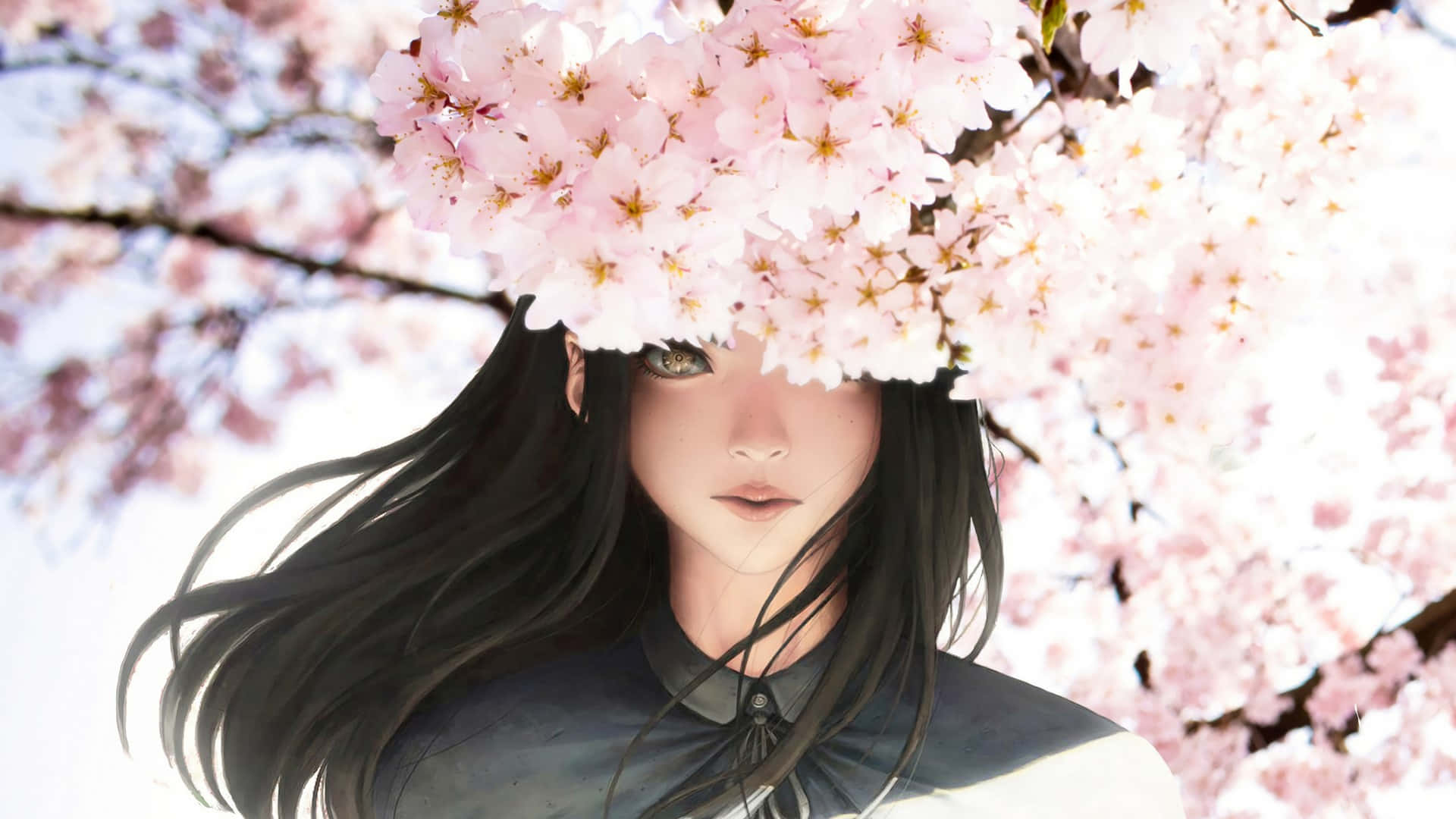 桜の背景 壁紙