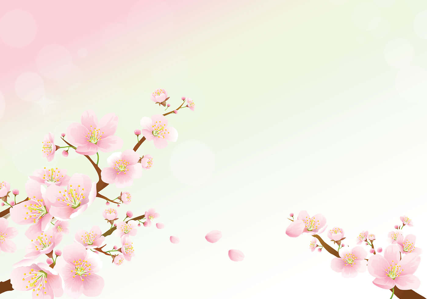桜の背景 壁紙