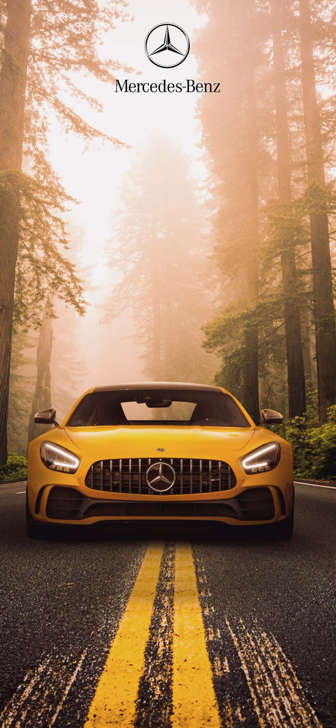 イエロー iPhone Xs メルセデスAMG 背景 森の中で 壁紙